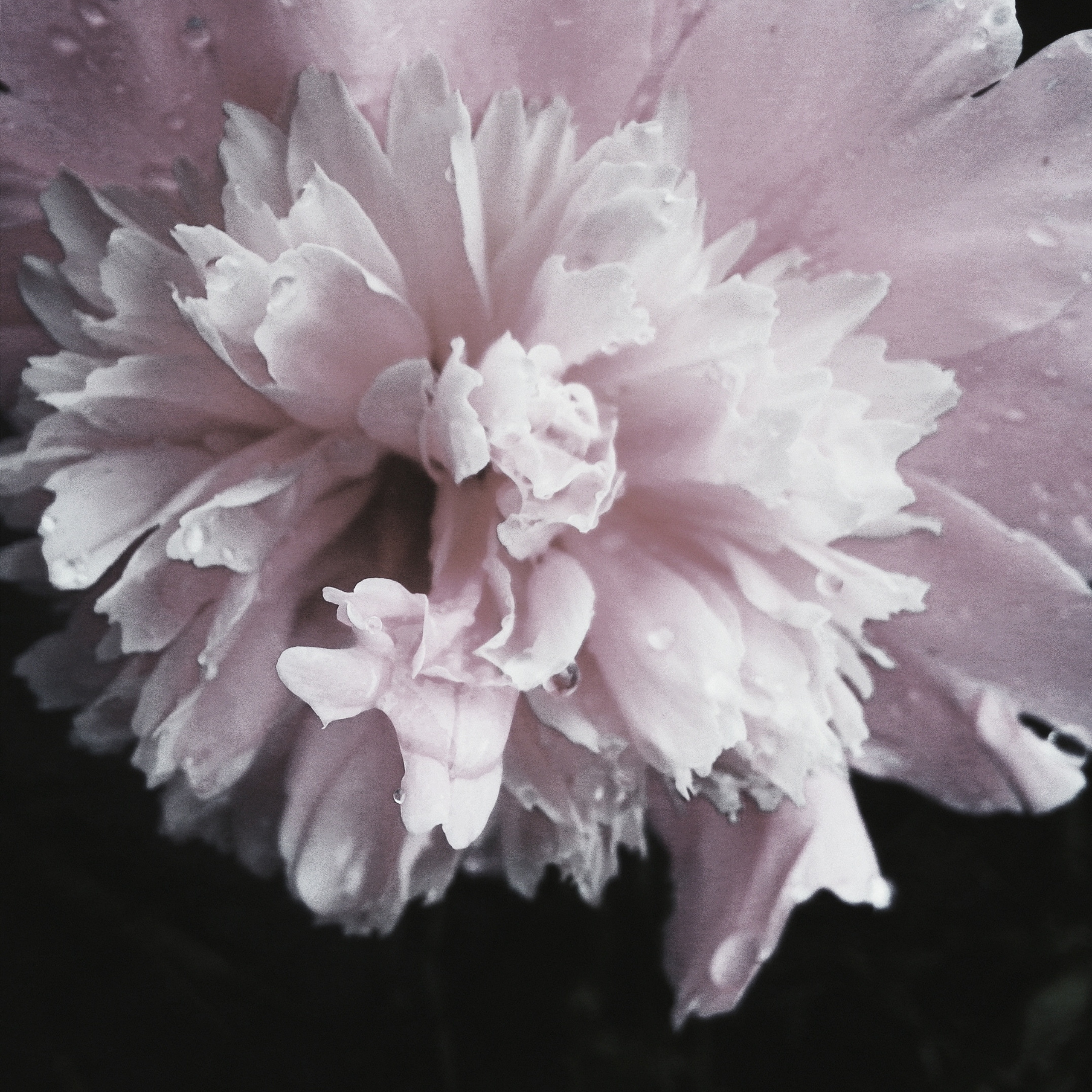 World. Ирина Савельева — фотограф