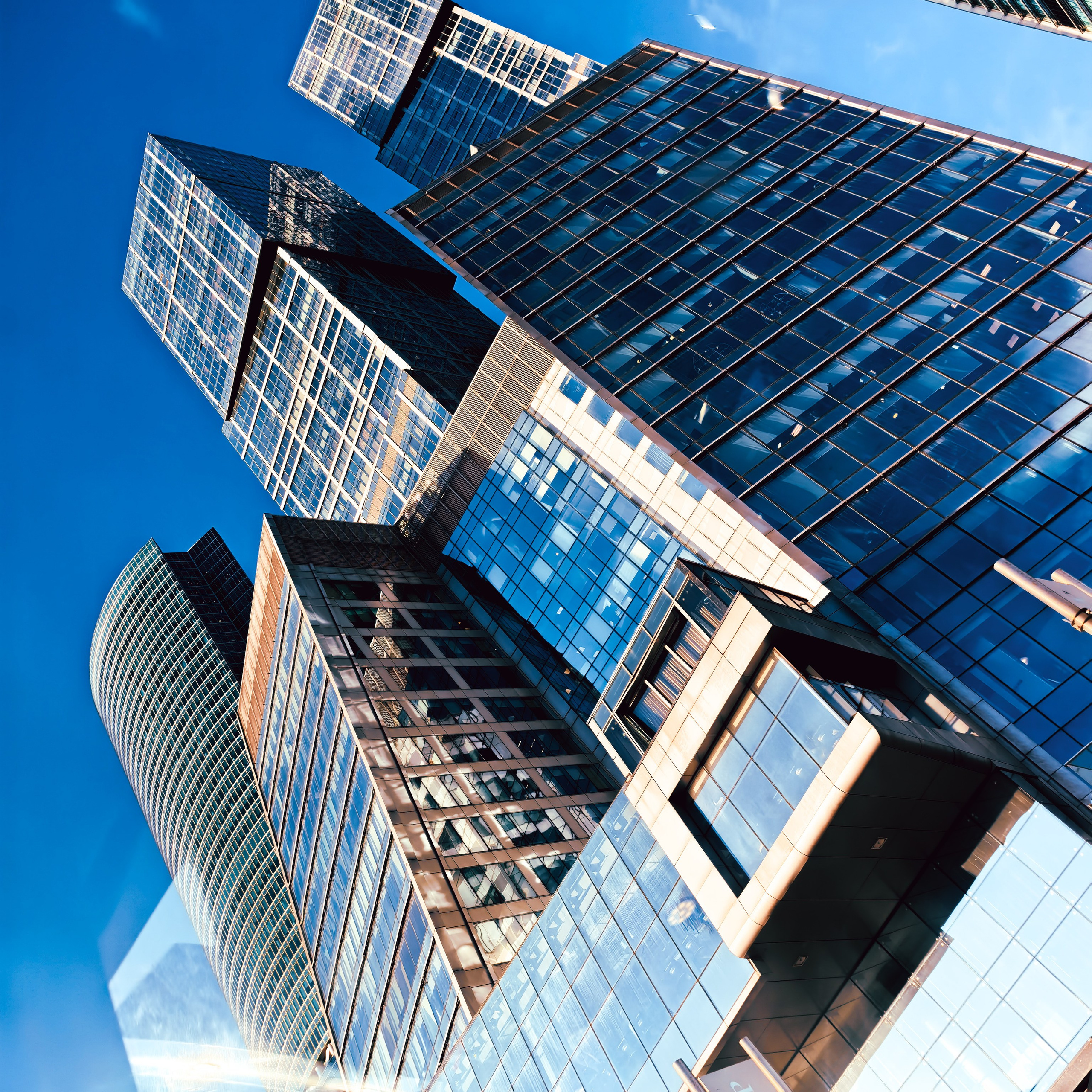 World. Ирина Савельева — фотограф