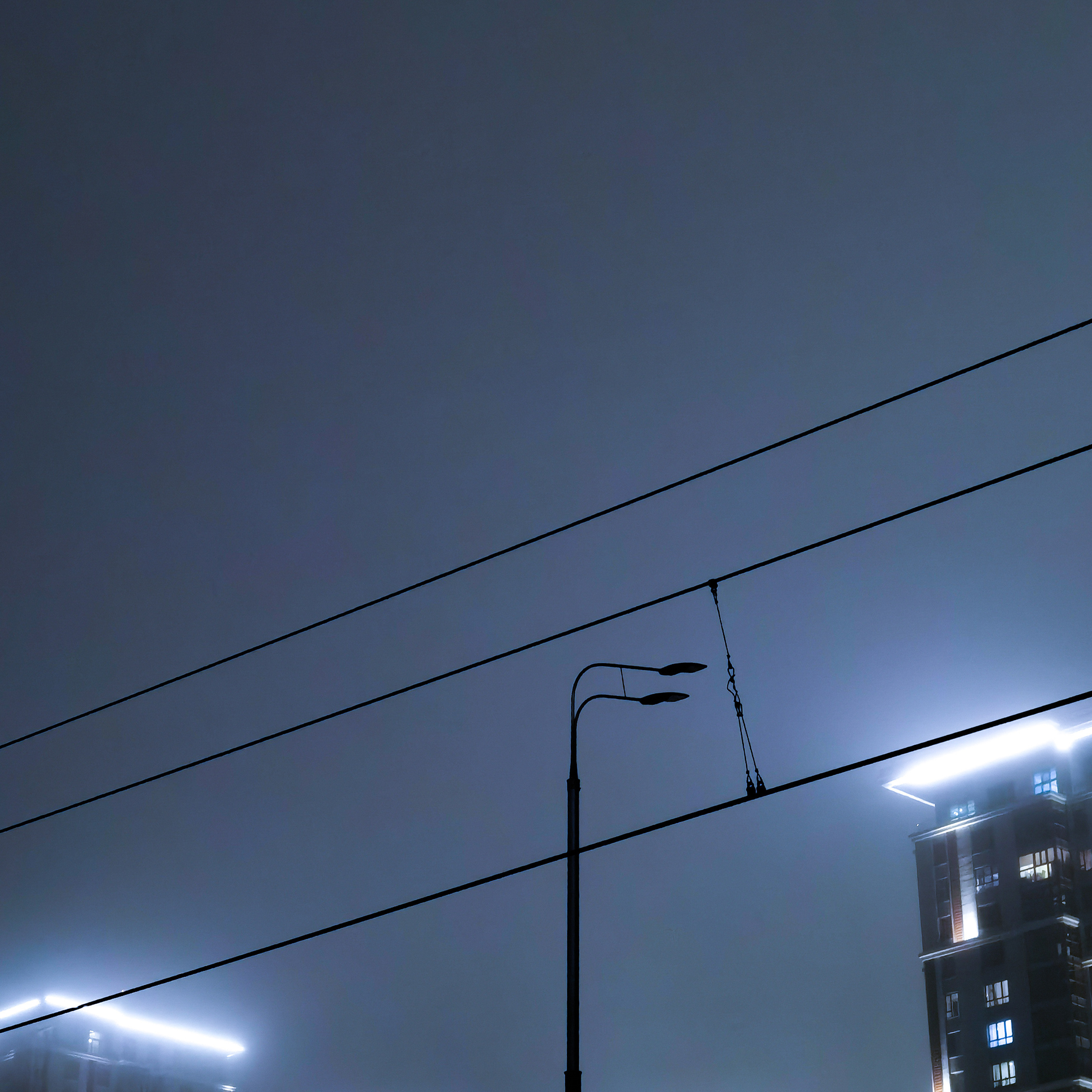 World. Ирина Савельева — фотограф