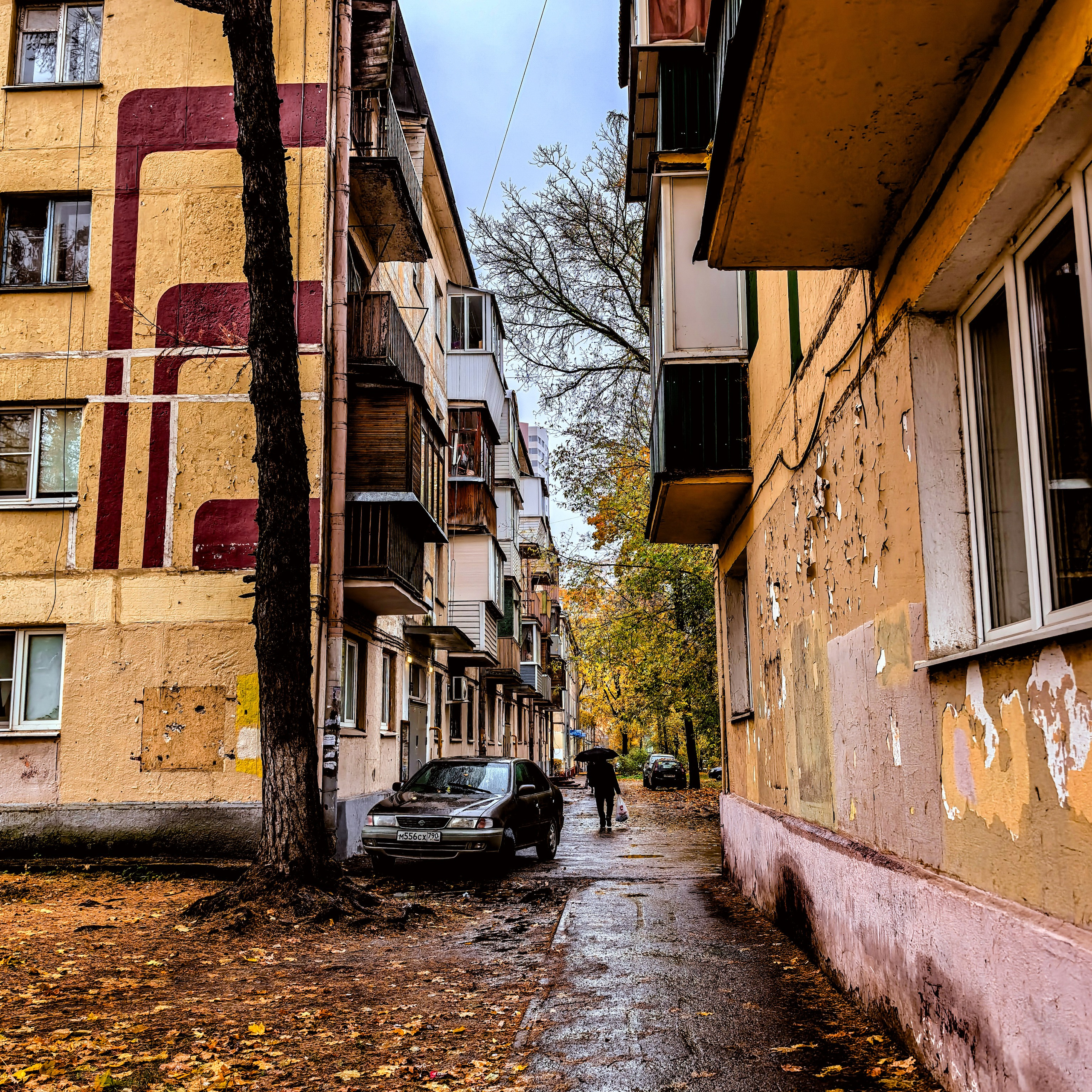 World. Ирина Савельева — фотограф