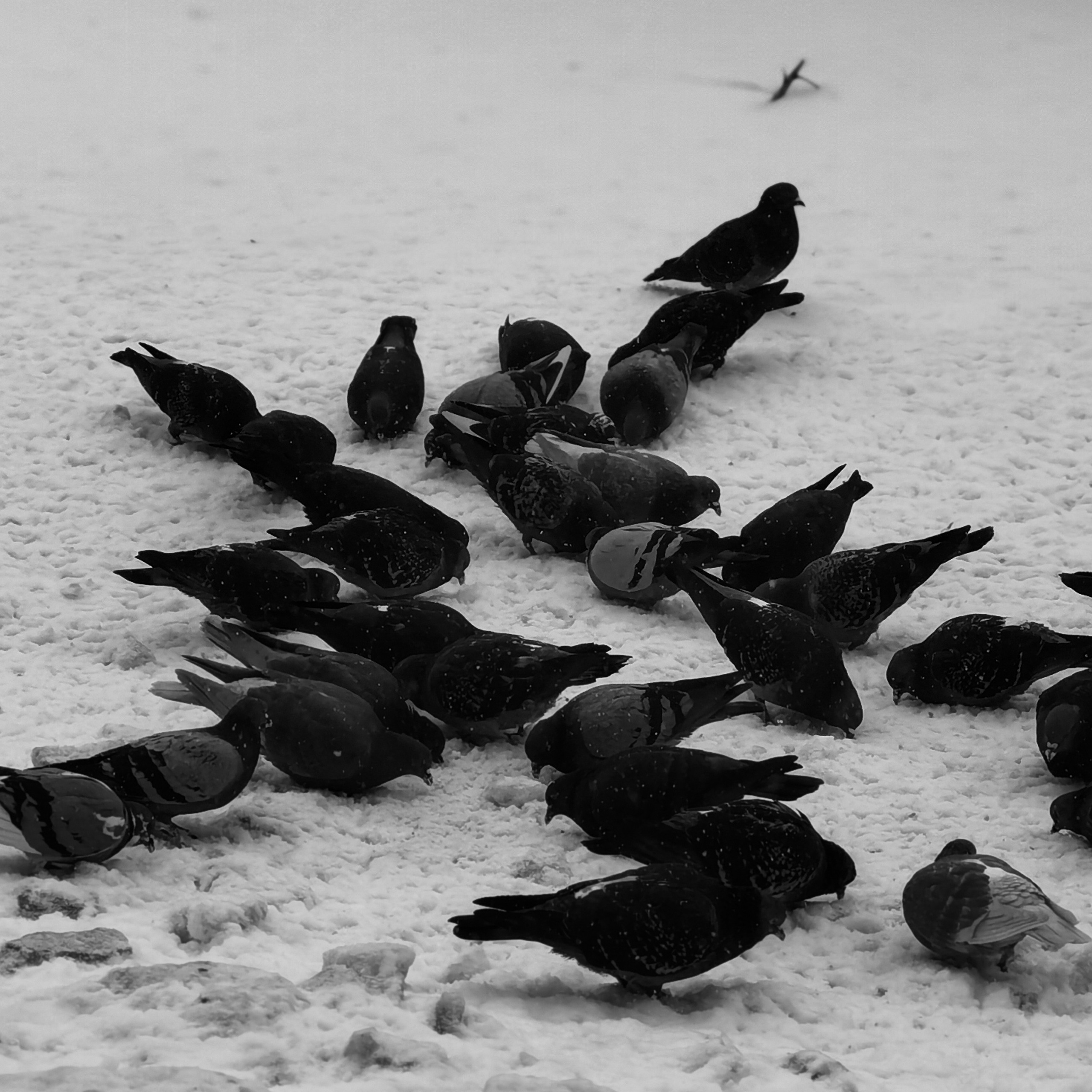 World. Ирина Савельева — фотограф