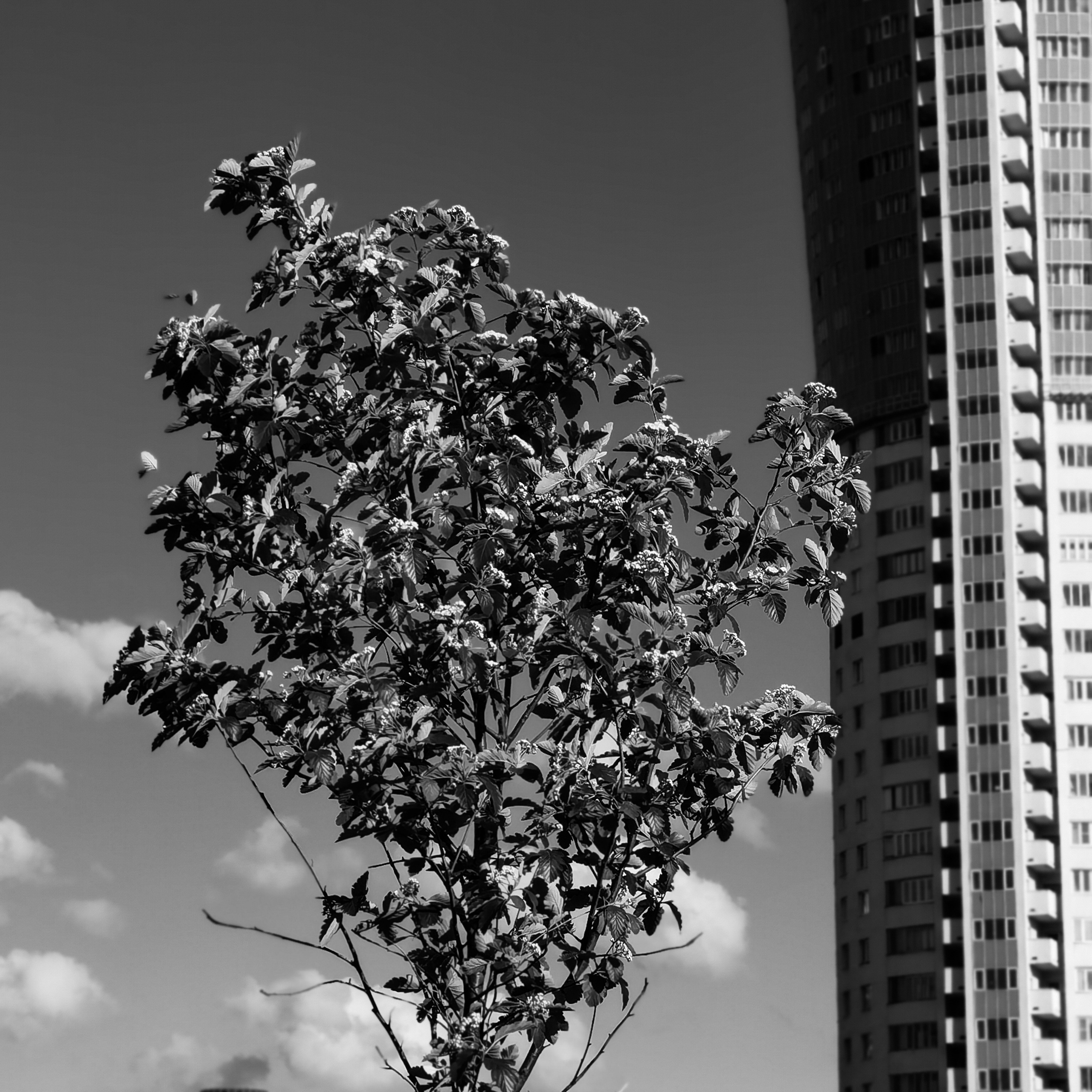 World. Ирина Савельева — фотограф