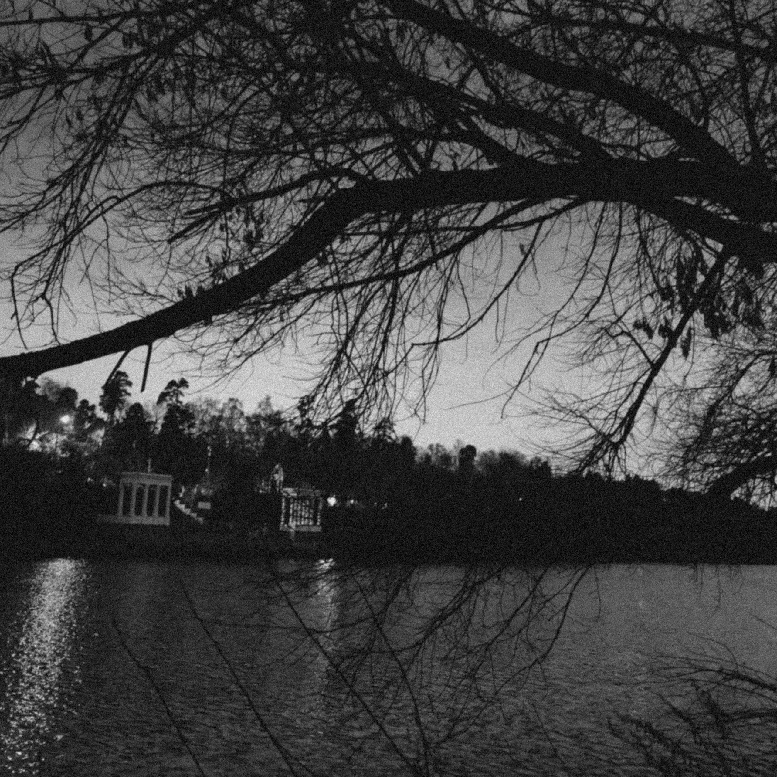 World. Ирина Савельева — фотограф