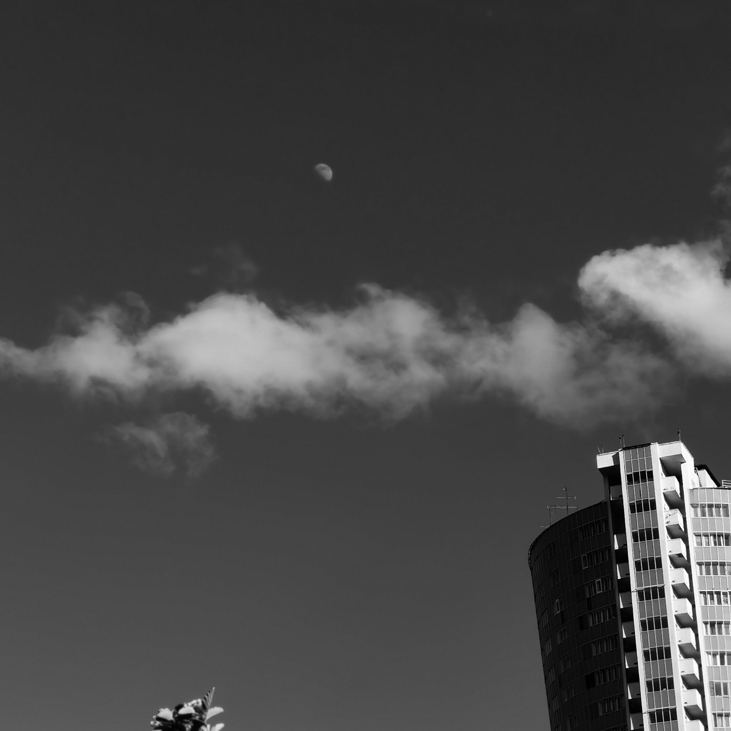 World. Ирина Савельева — фотограф