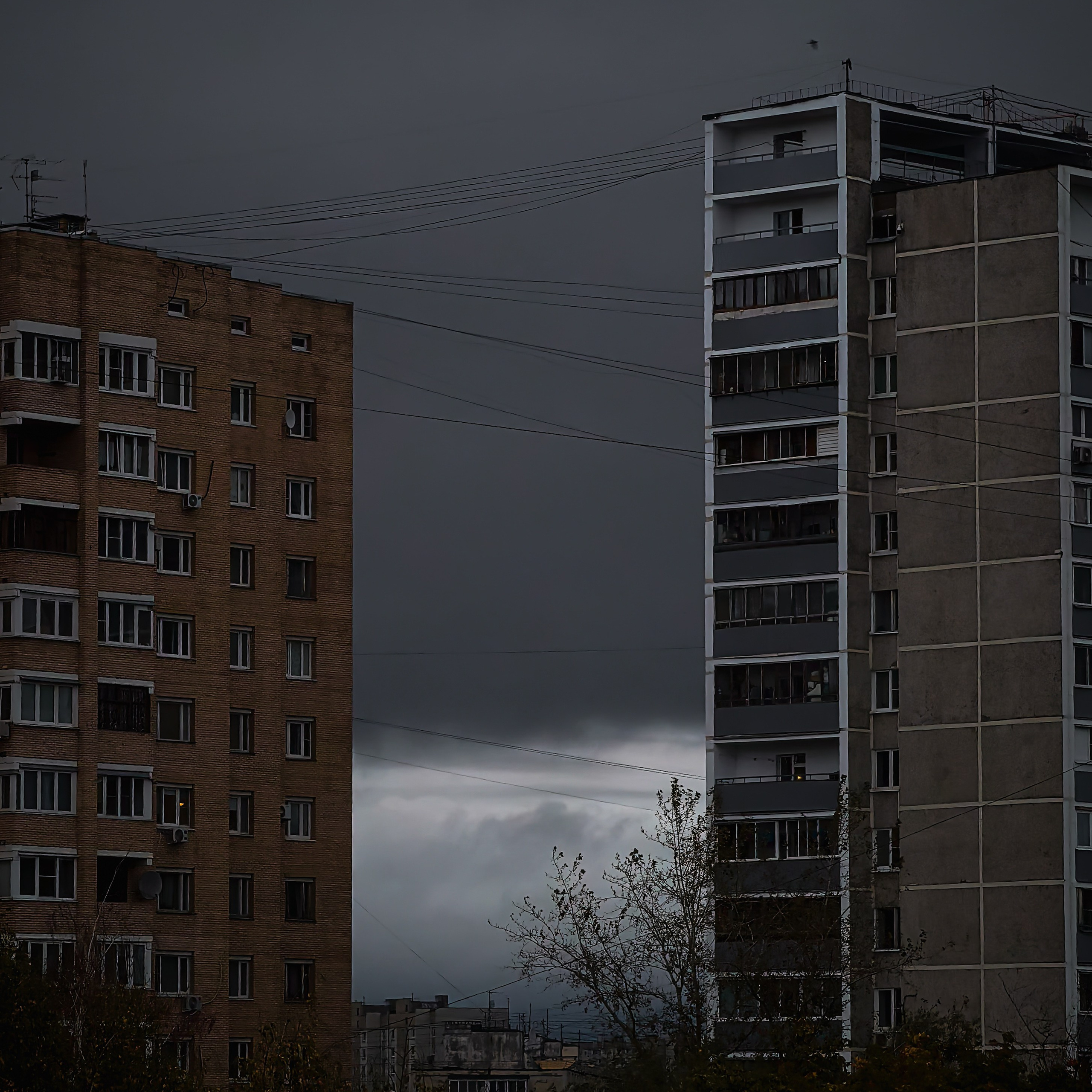 World. Ирина Савельева — фотограф