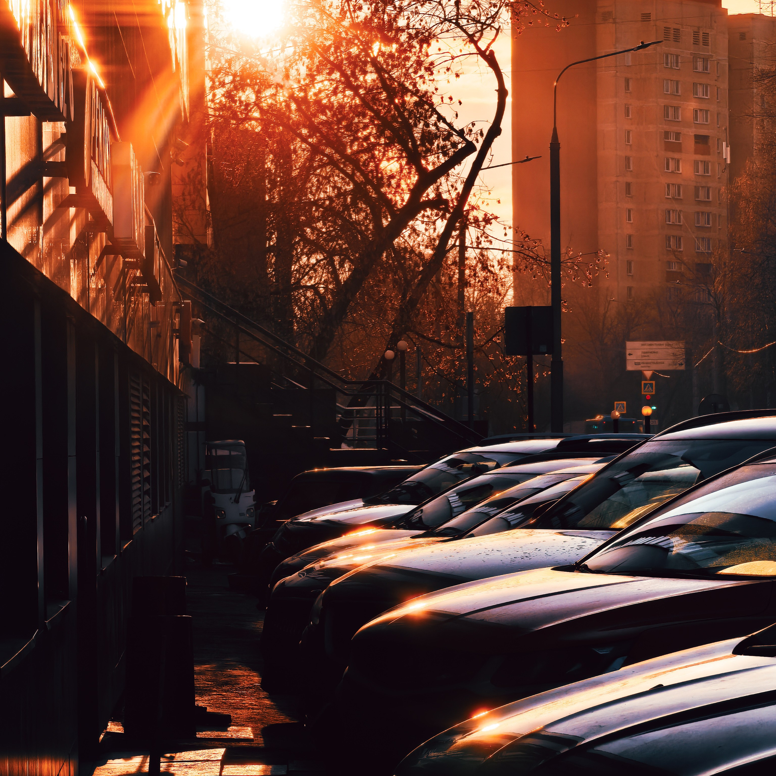 World. Ирина Савельева — фотограф