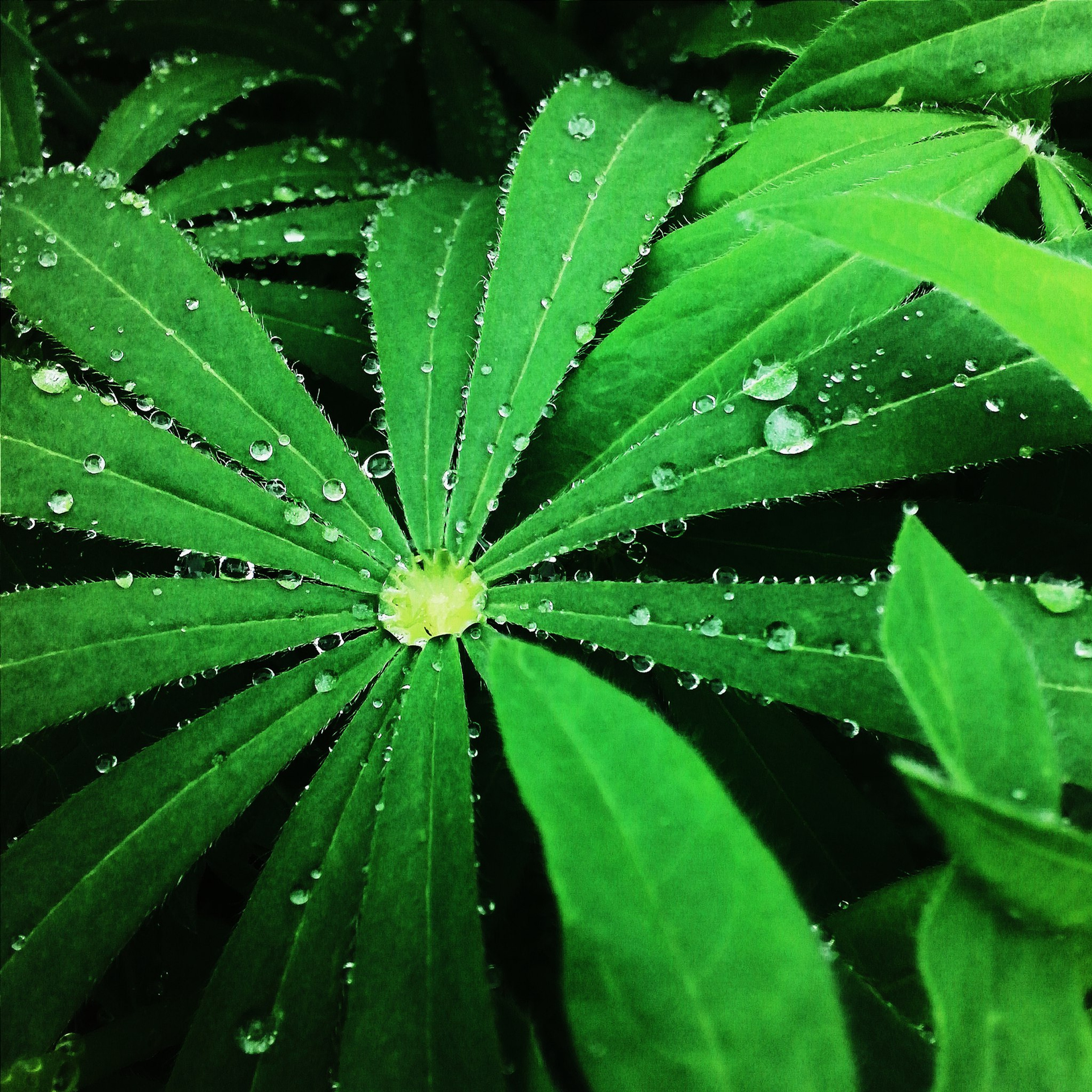 World. Ирина Савельева — фотограф