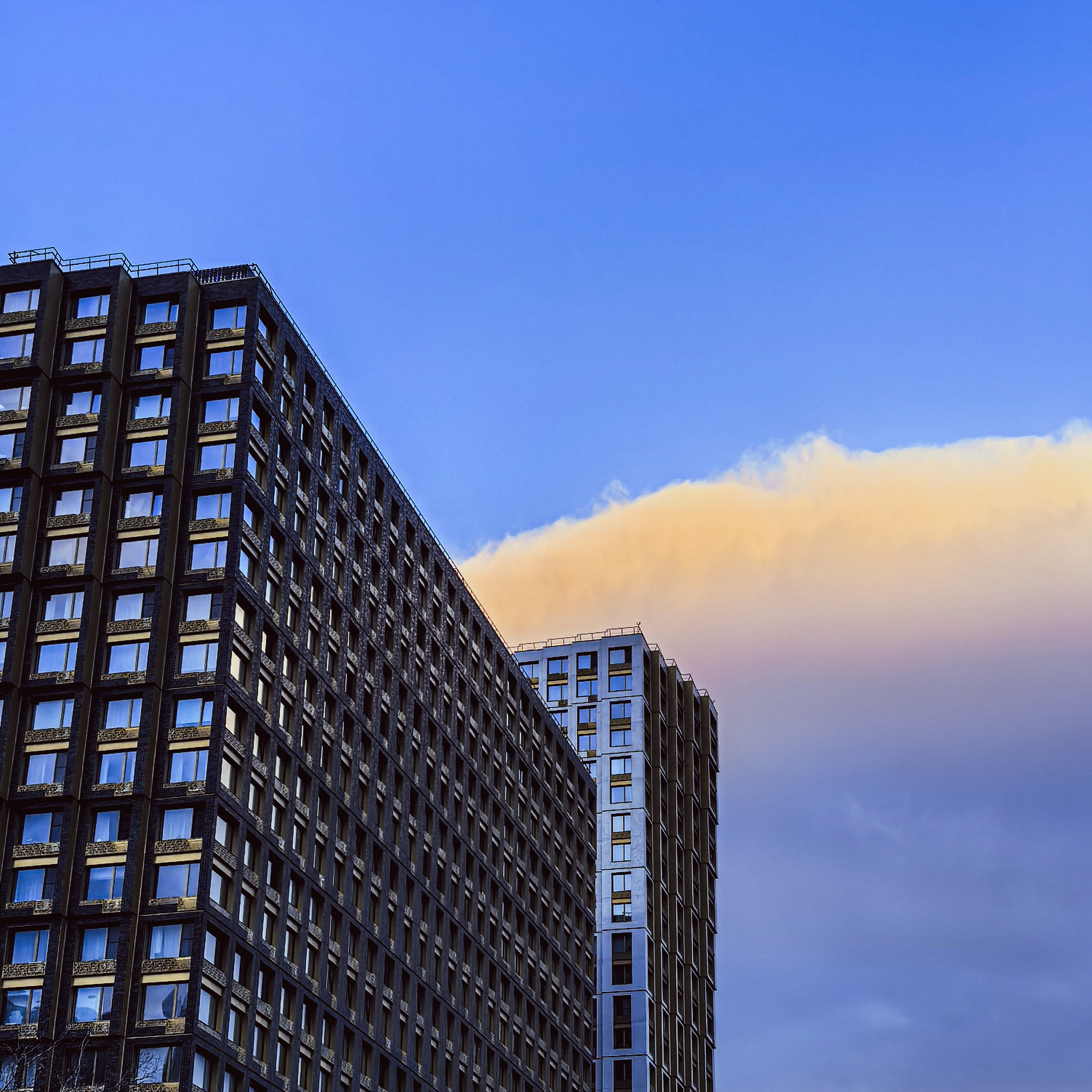 World. Ирина Савельева — фотограф