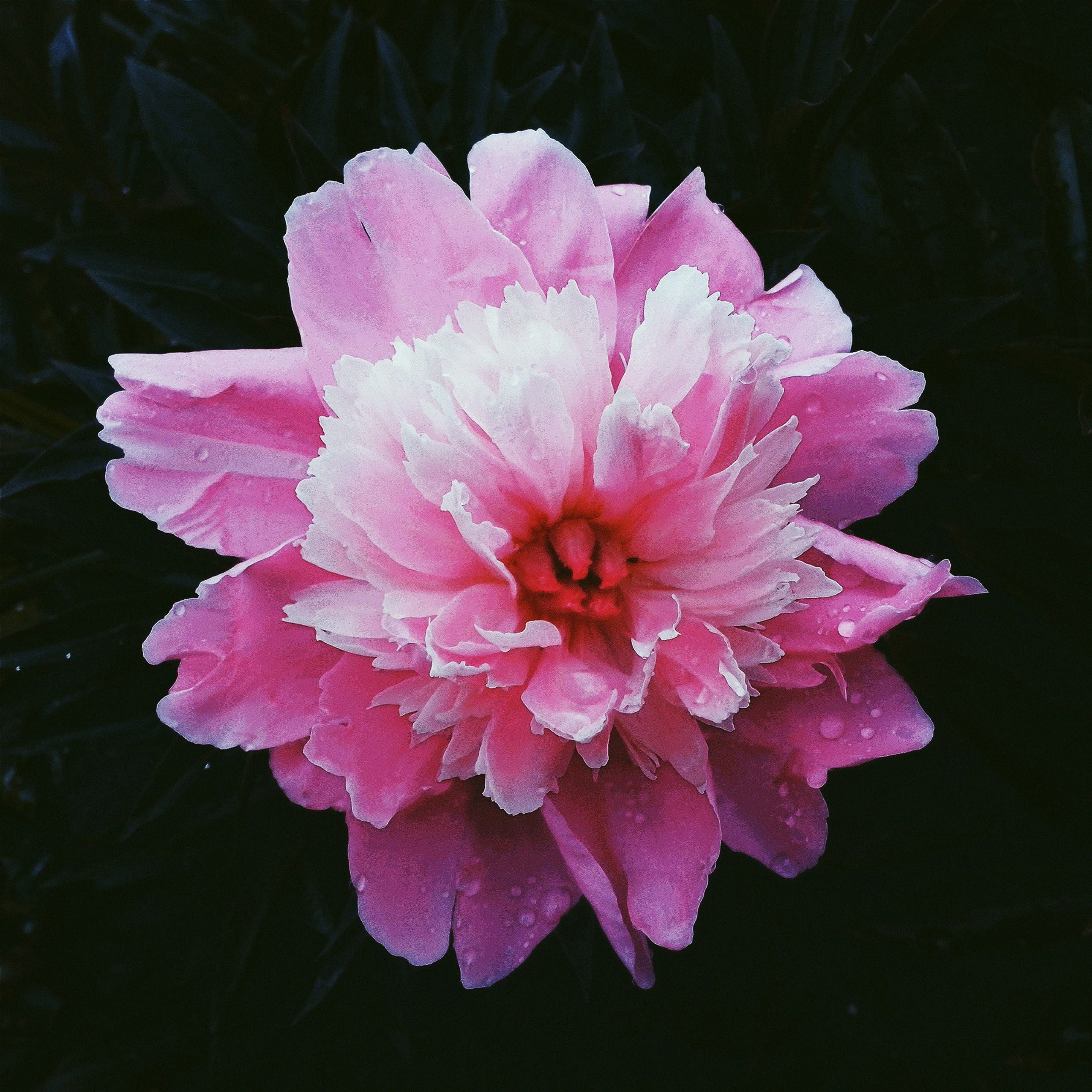 World. Ирина Савельева — фотограф