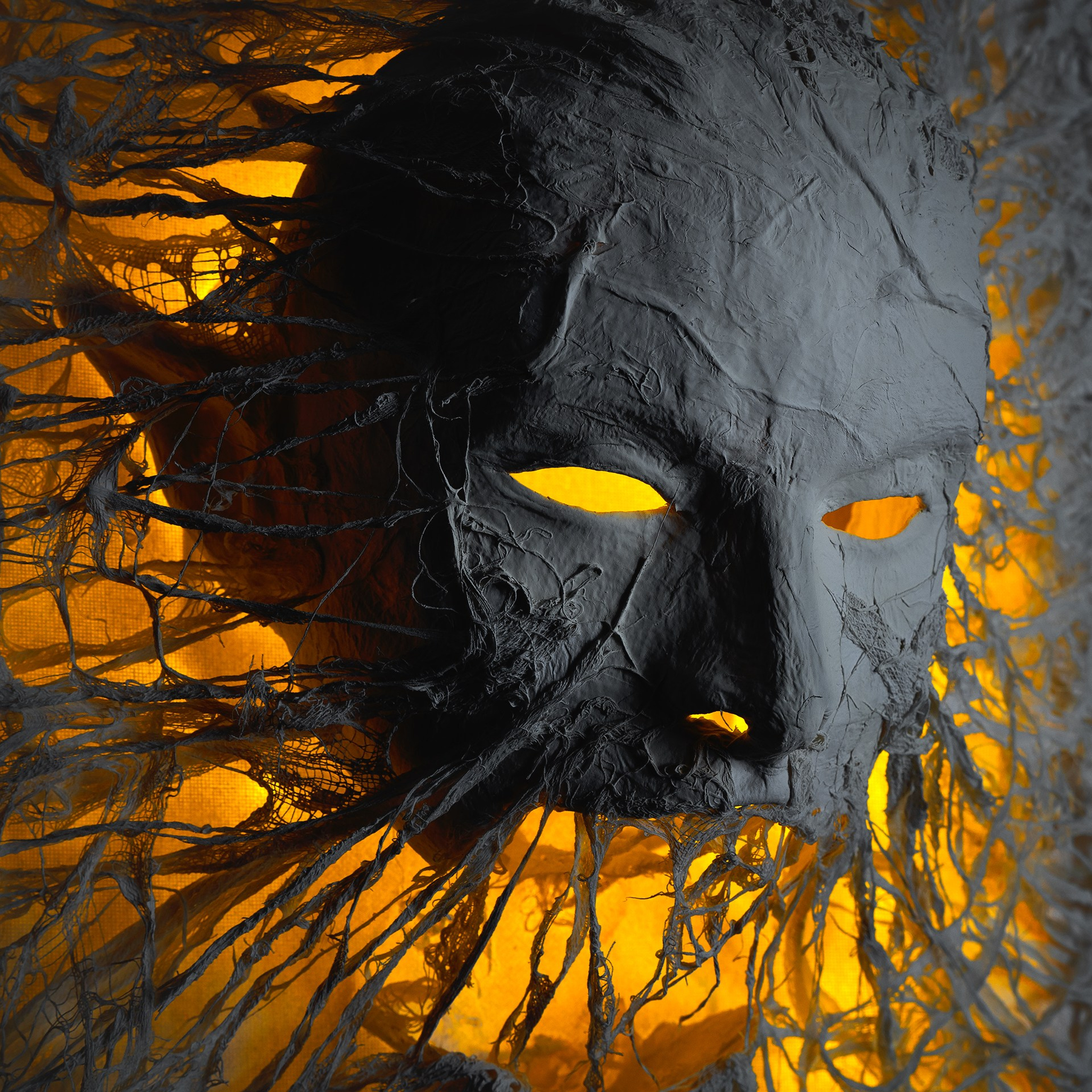 Картины. Медиа-контент с мероприятий