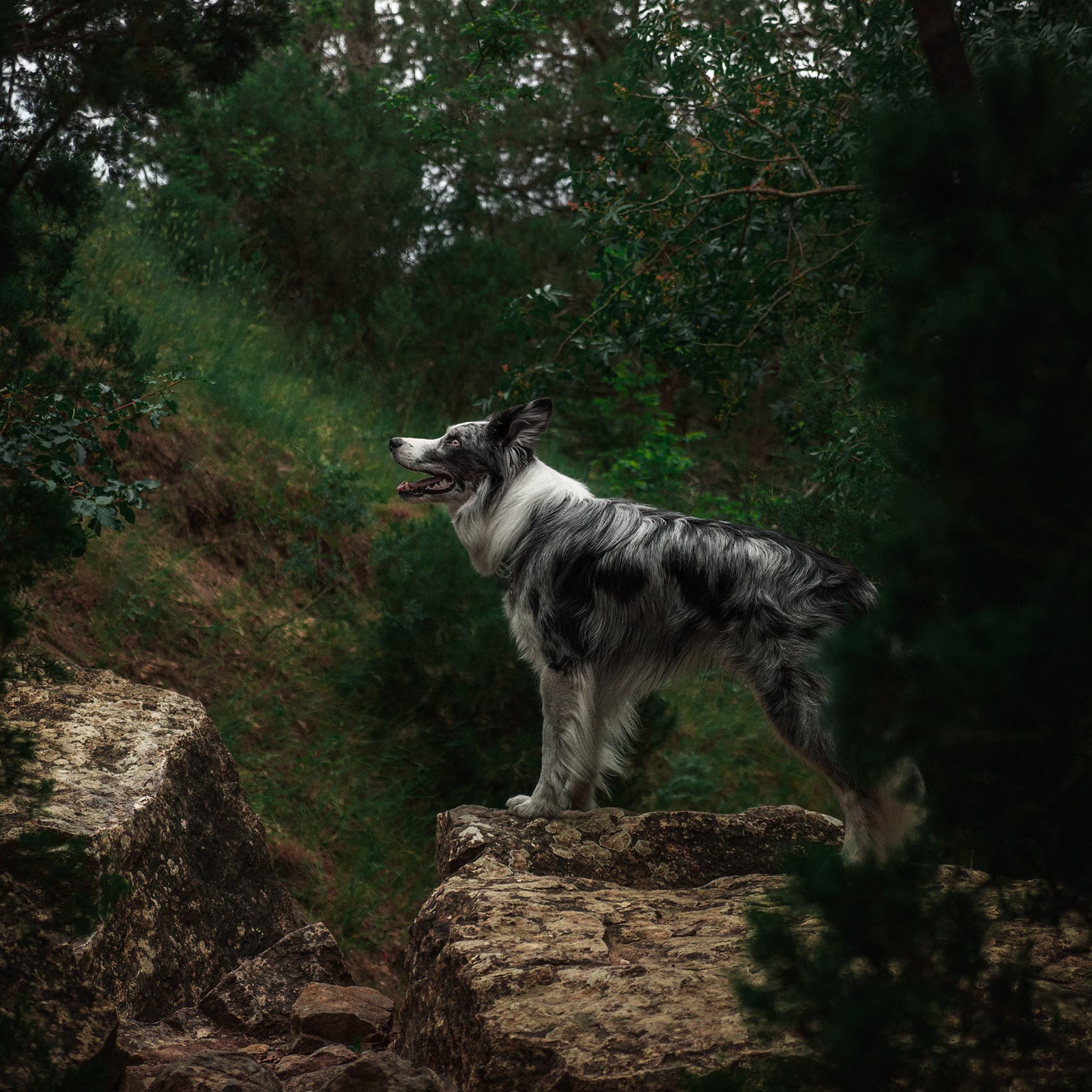 Крым. Медиа-контент с мероприятий