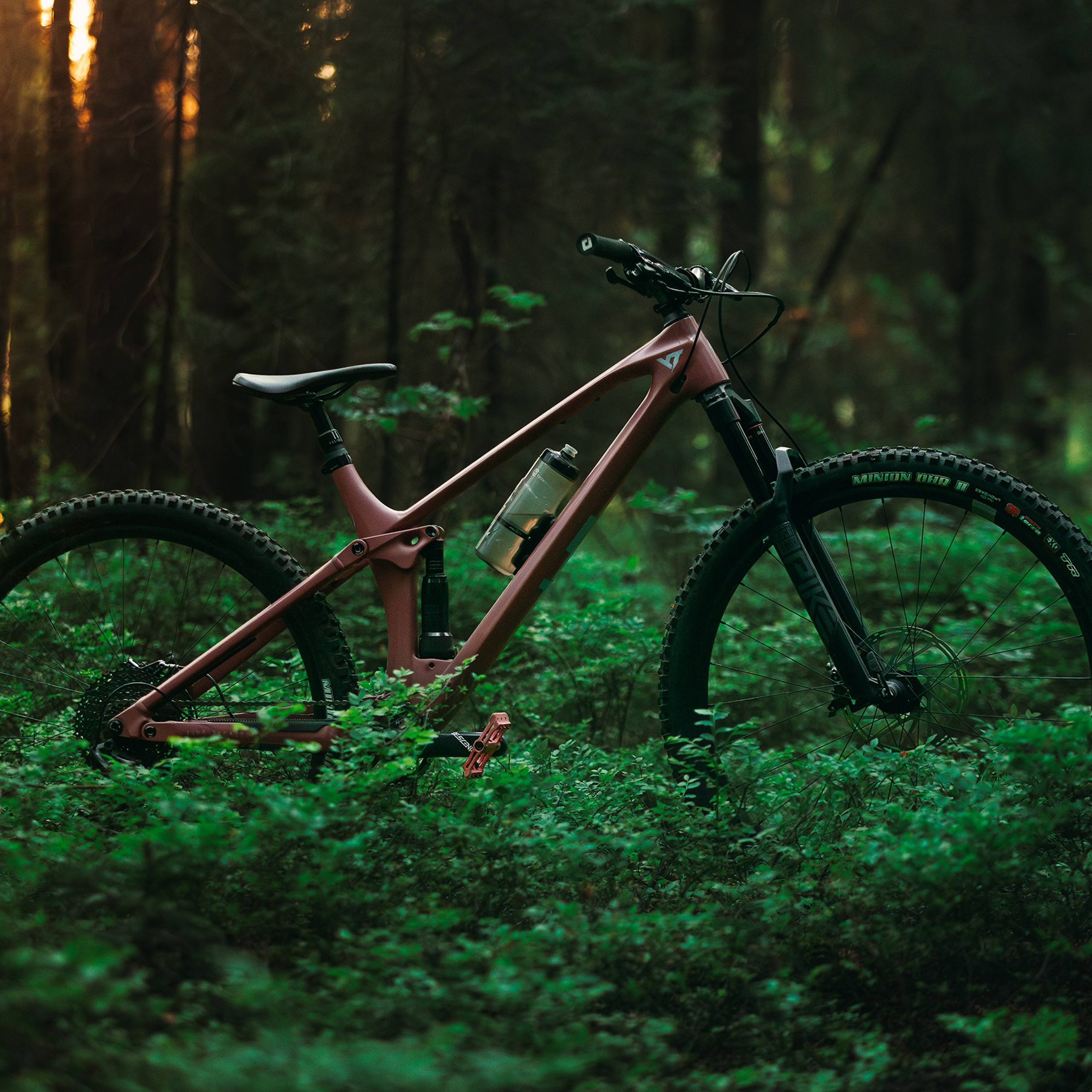 Покатушки в Огороде. Медиа-контент с мероприятий