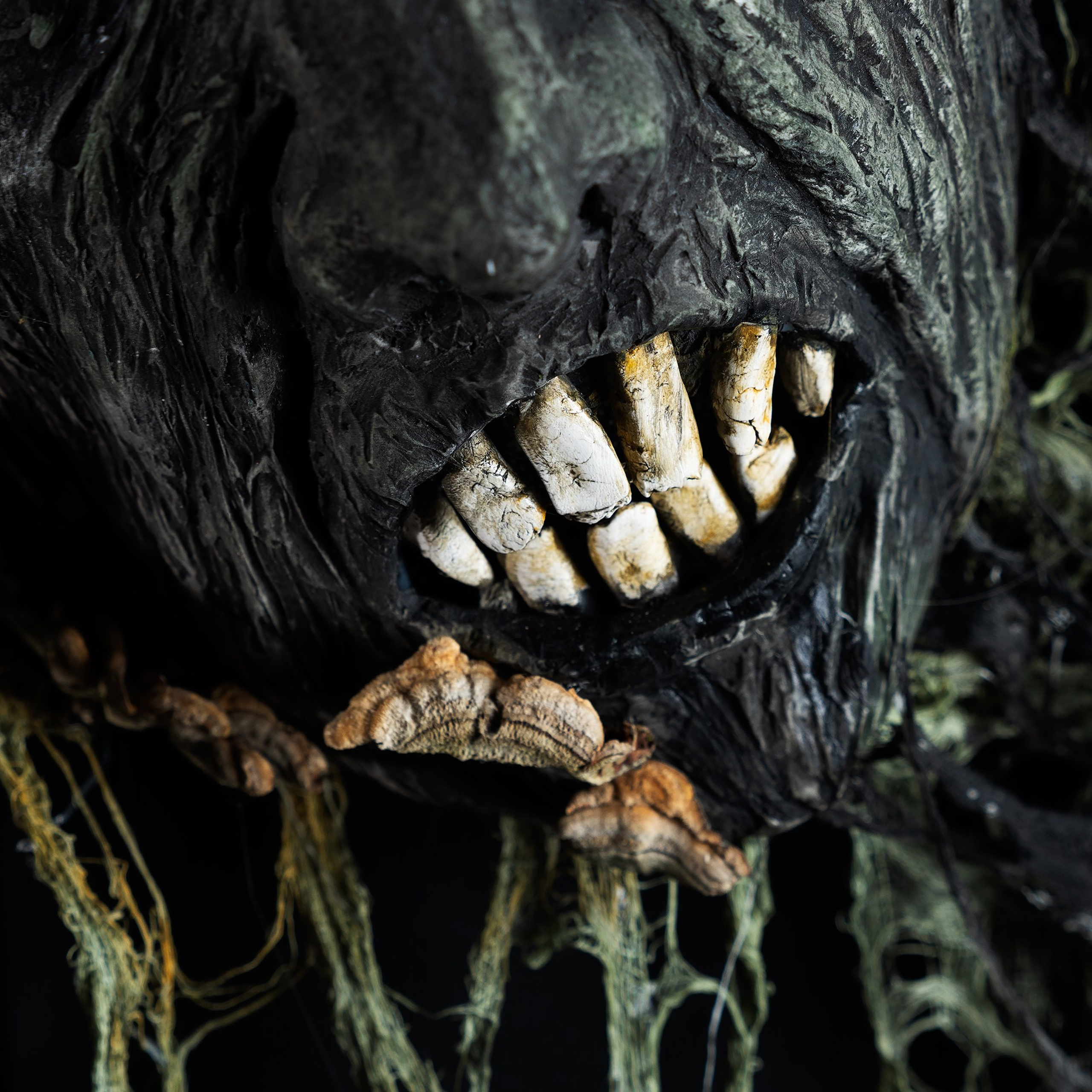 Картины. Медиа-контент с мероприятий