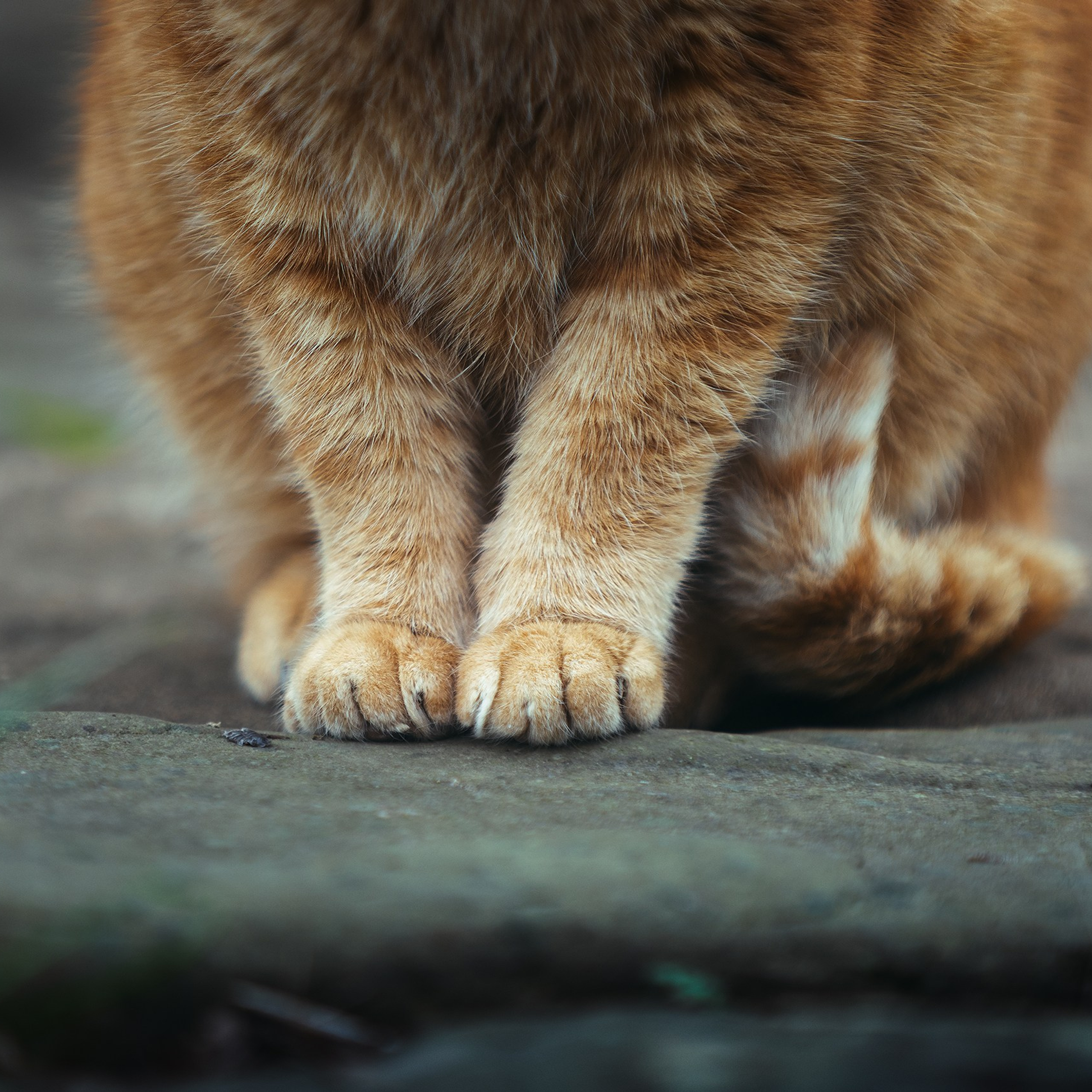 Рыжий. Медиа-контент с мероприятий