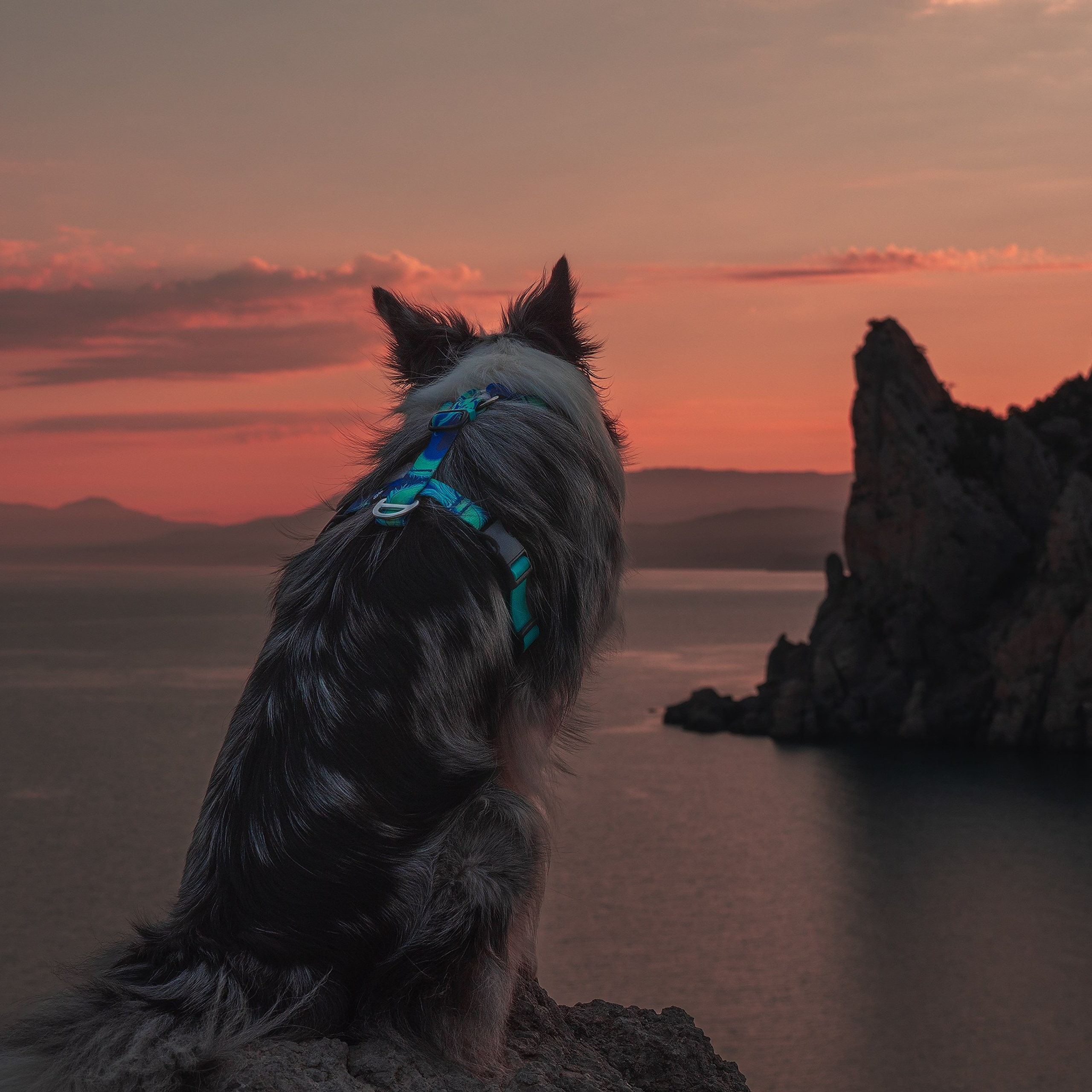 Крым. Медиа-контент с мероприятий