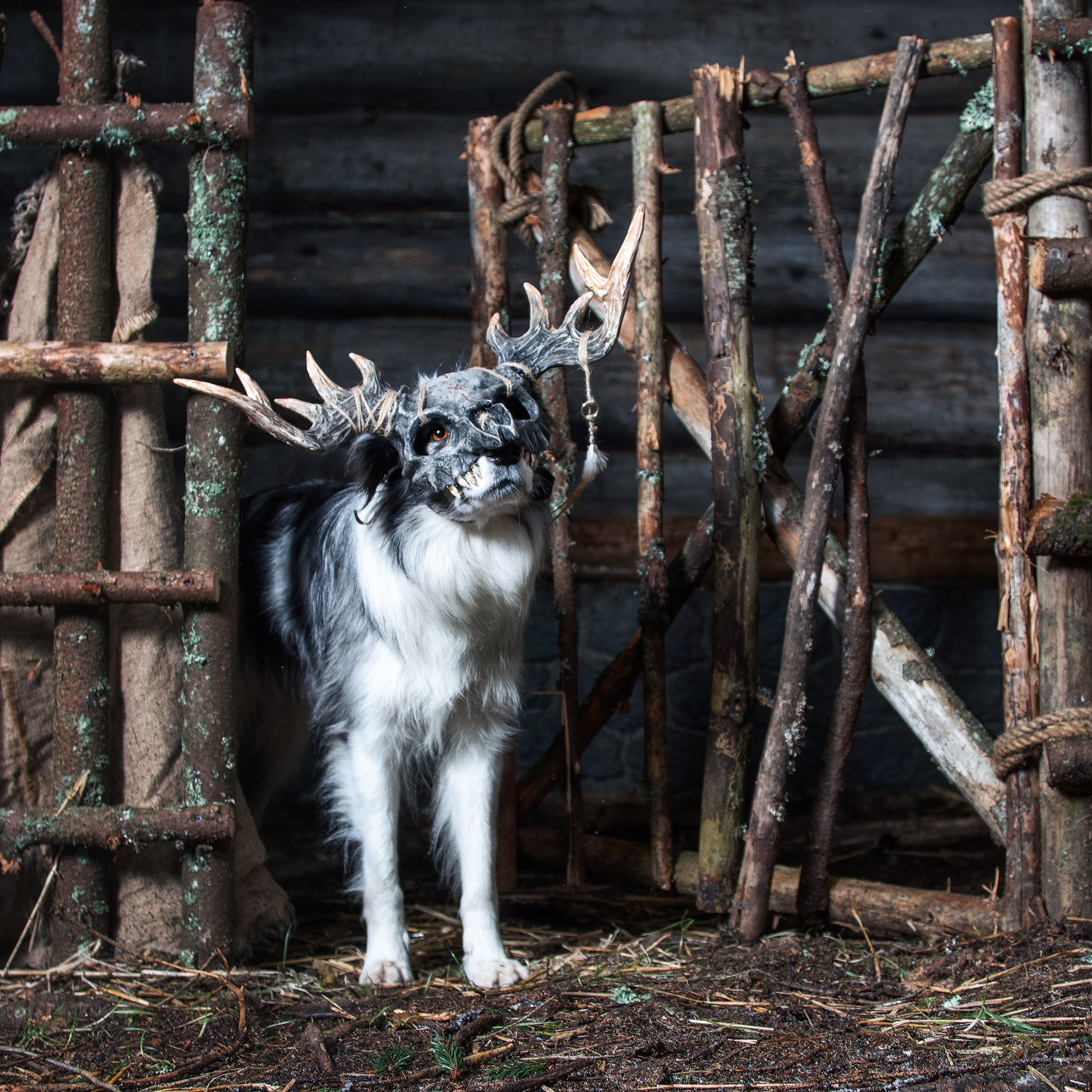 Хэллуин. Медиа-контент с мероприятий