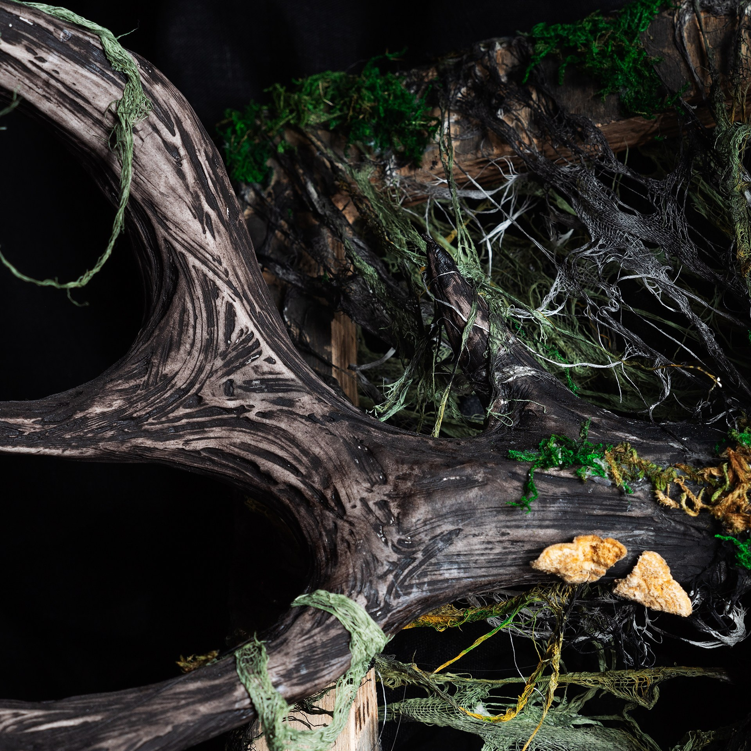 Картины. Медиа-контент с мероприятий