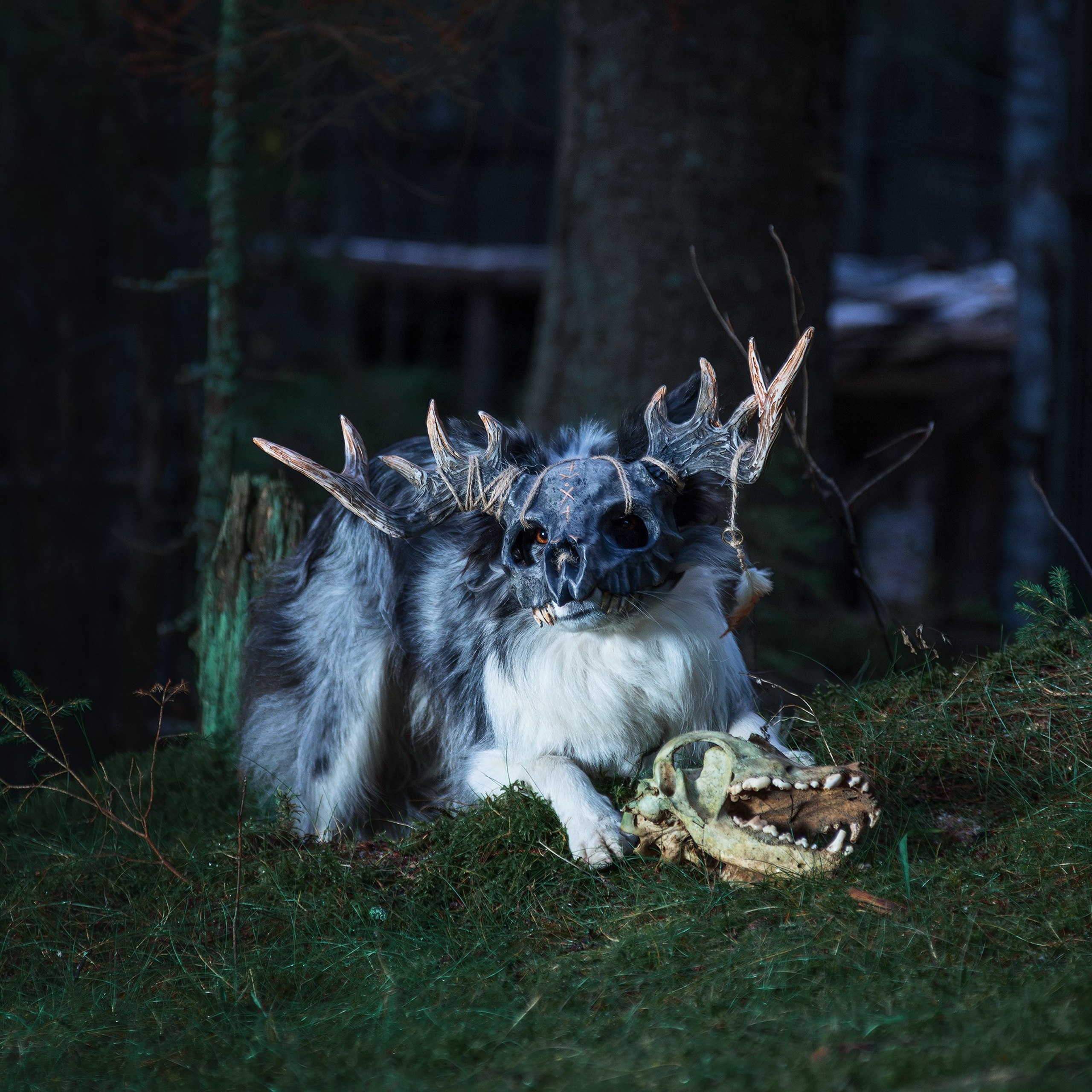 Хэллуин. Медиа-контент с мероприятий