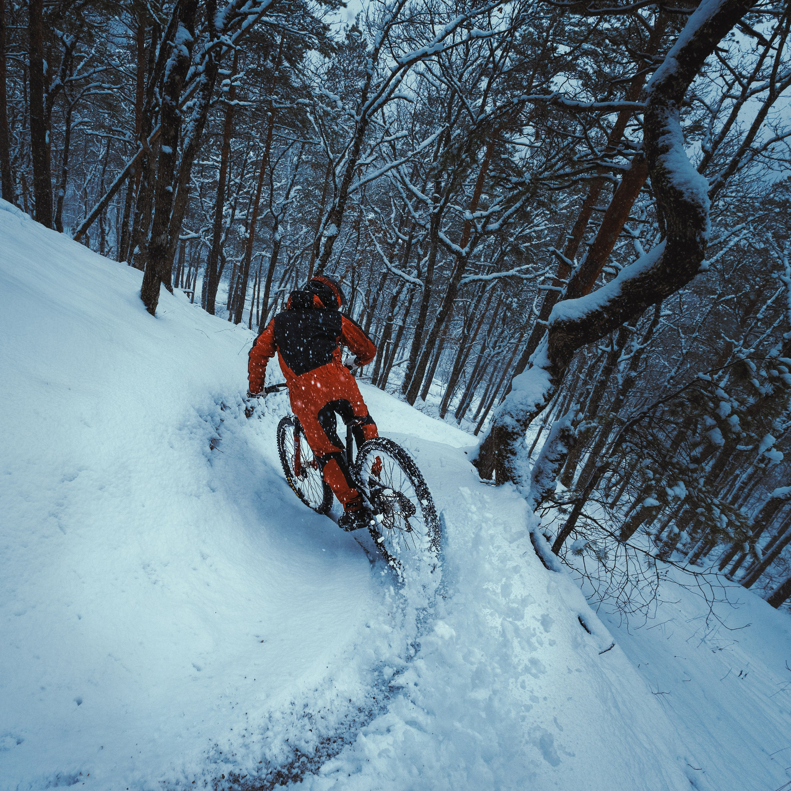 Евгений Бочанский. Медиа-контент с мероприятий