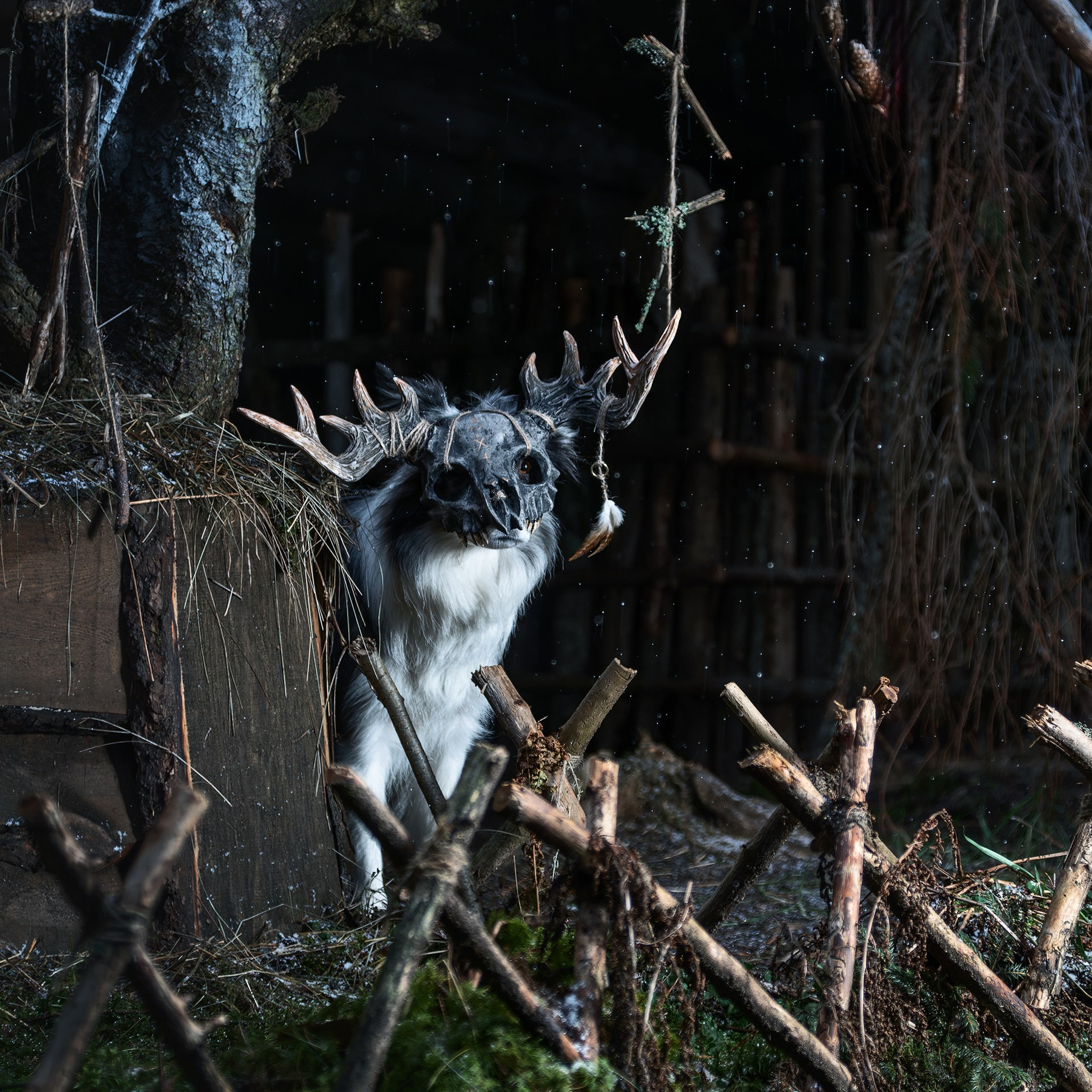 Хэллуин. Медиа-контент с мероприятий