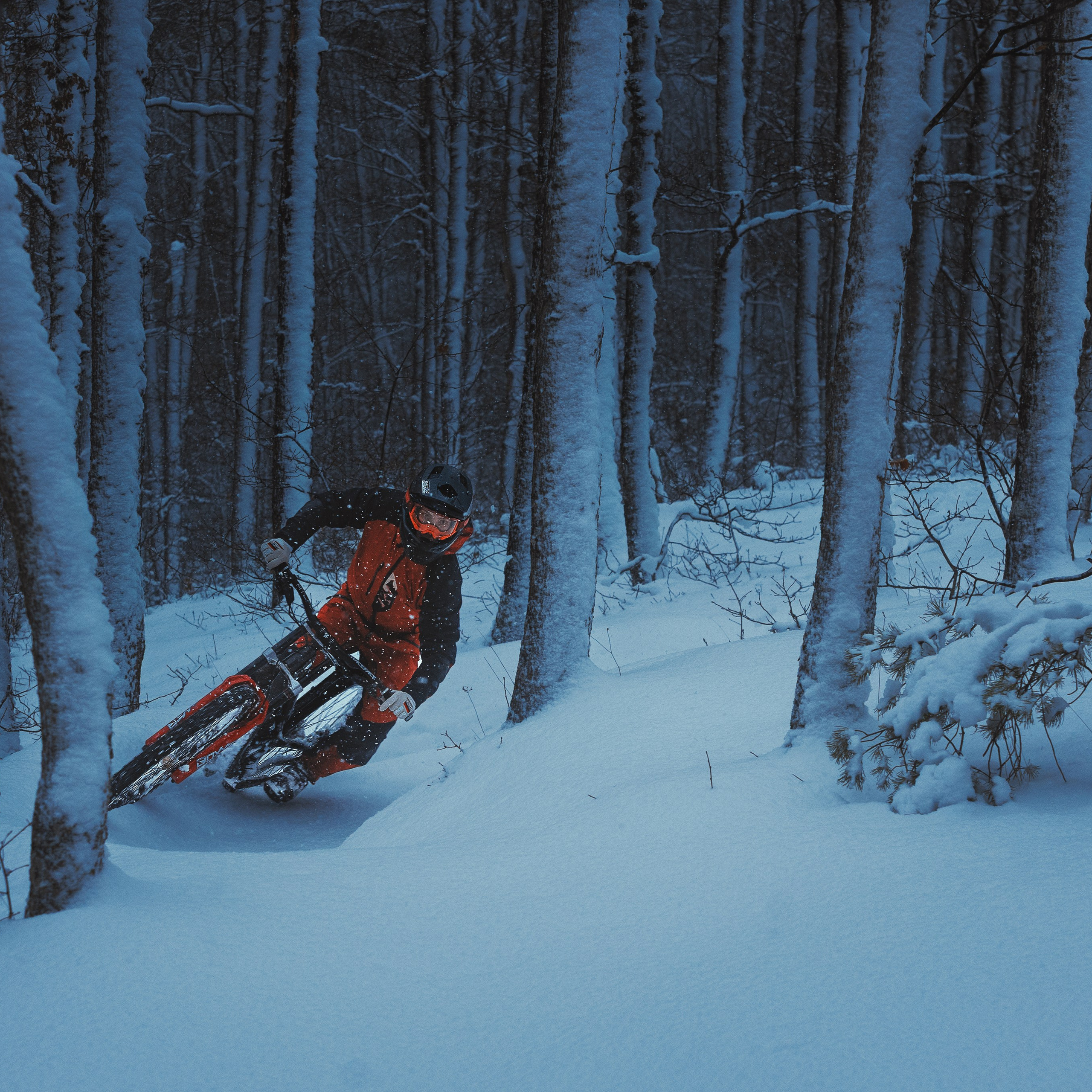 Евгений Бочанский. Медиа-контент с мероприятий