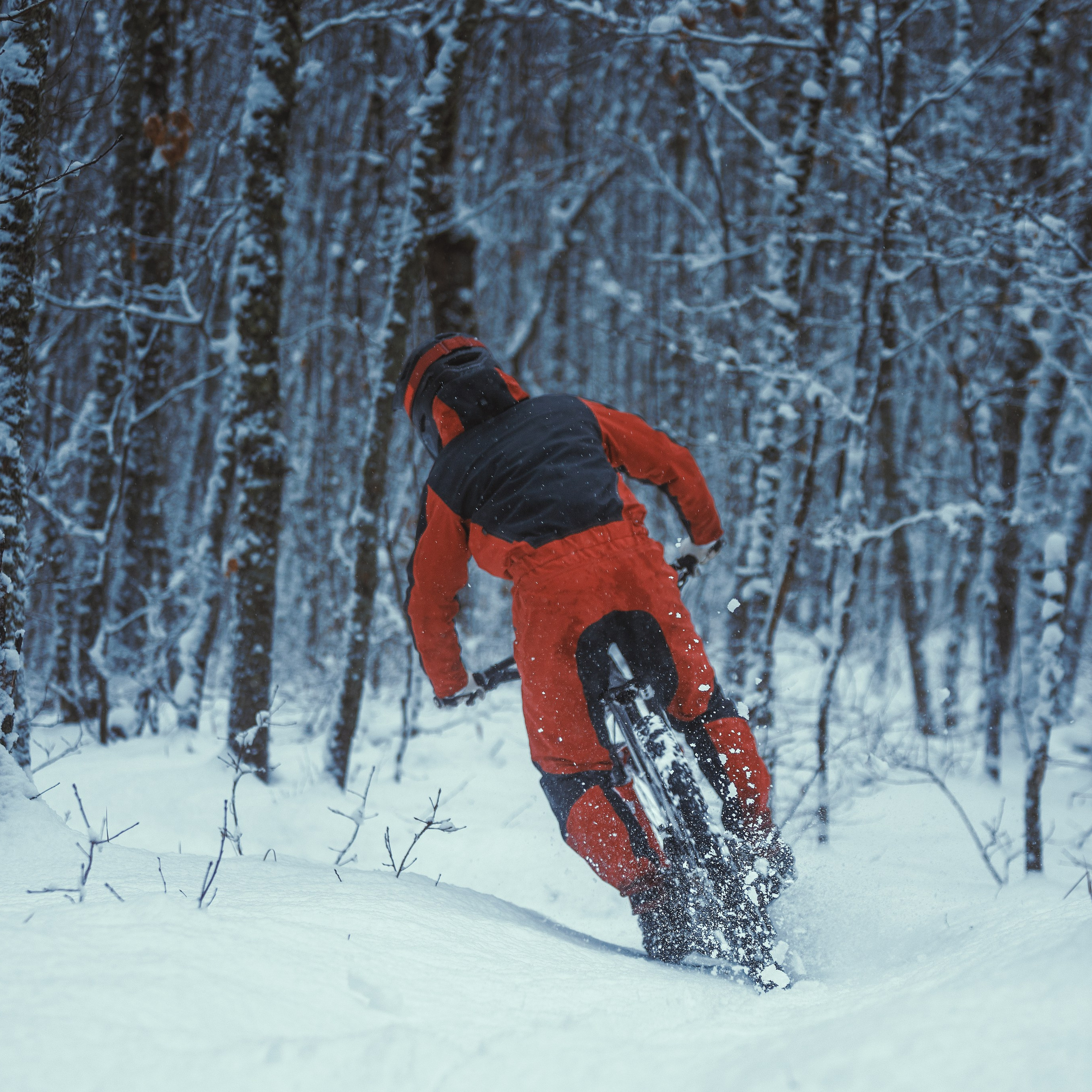 Евгений Бочанский. Медиа-контент с мероприятий