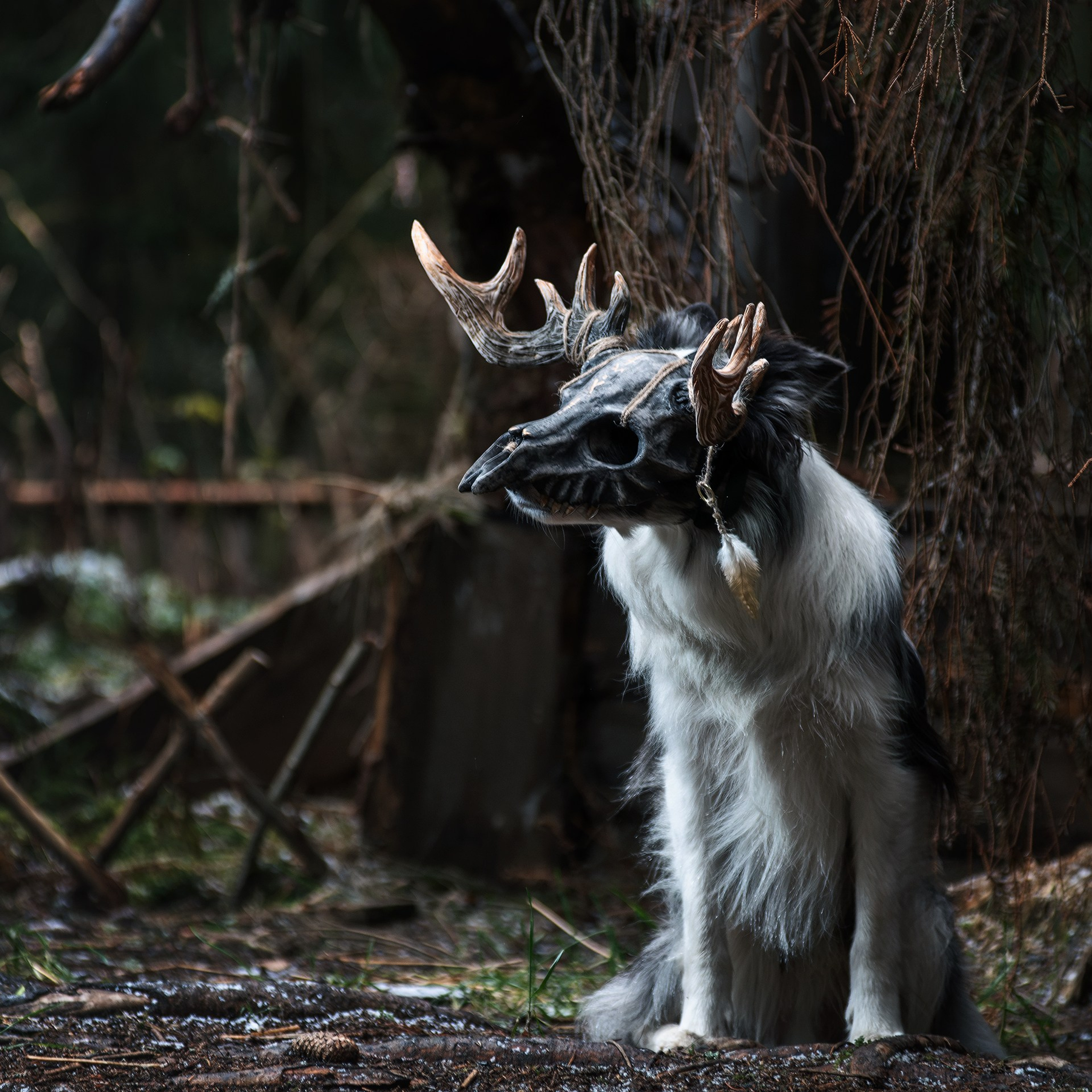 Хэллуин. Медиа-контент с мероприятий