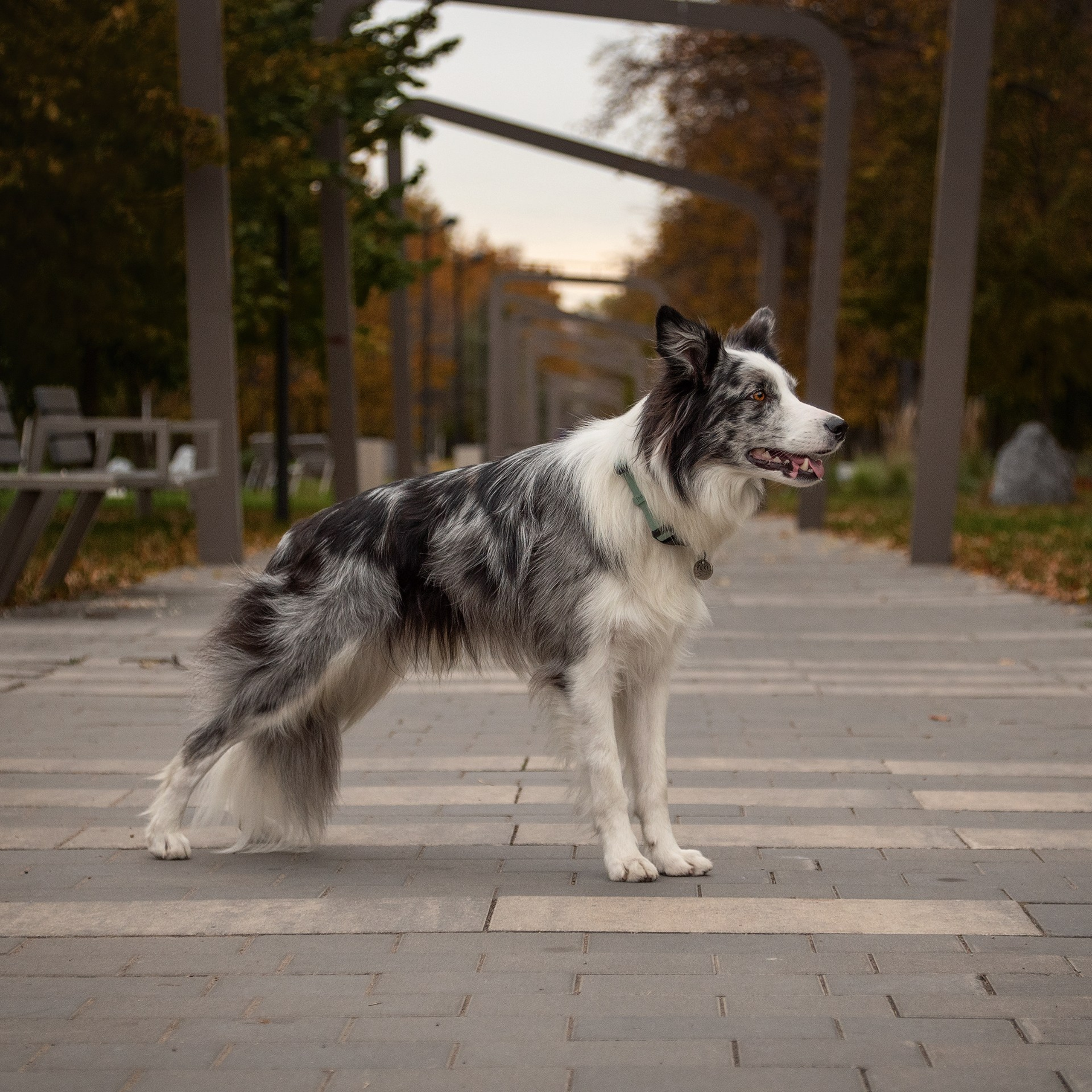 Осень. Медиа-контент с мероприятий