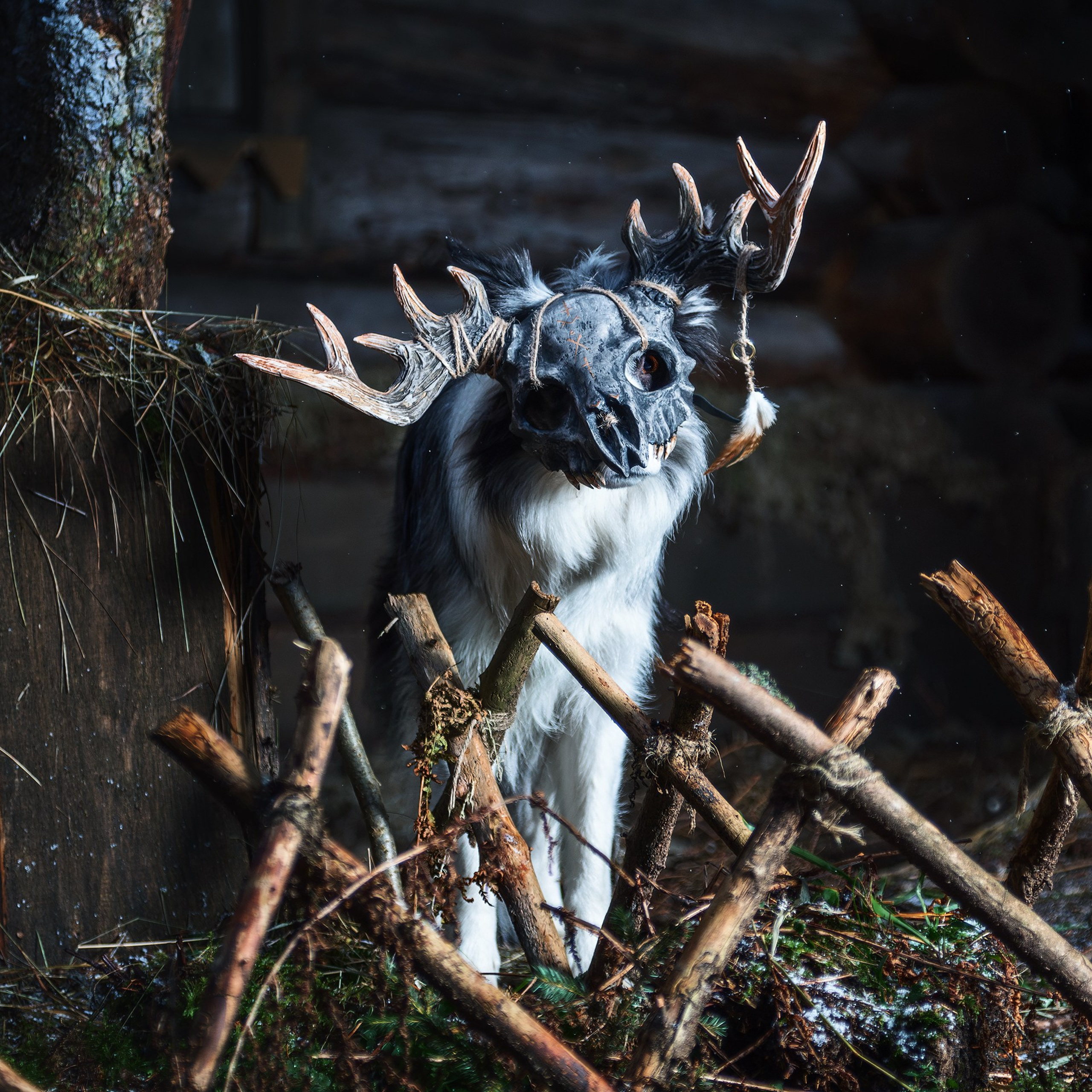 Хэллуин. Медиа-контент с мероприятий