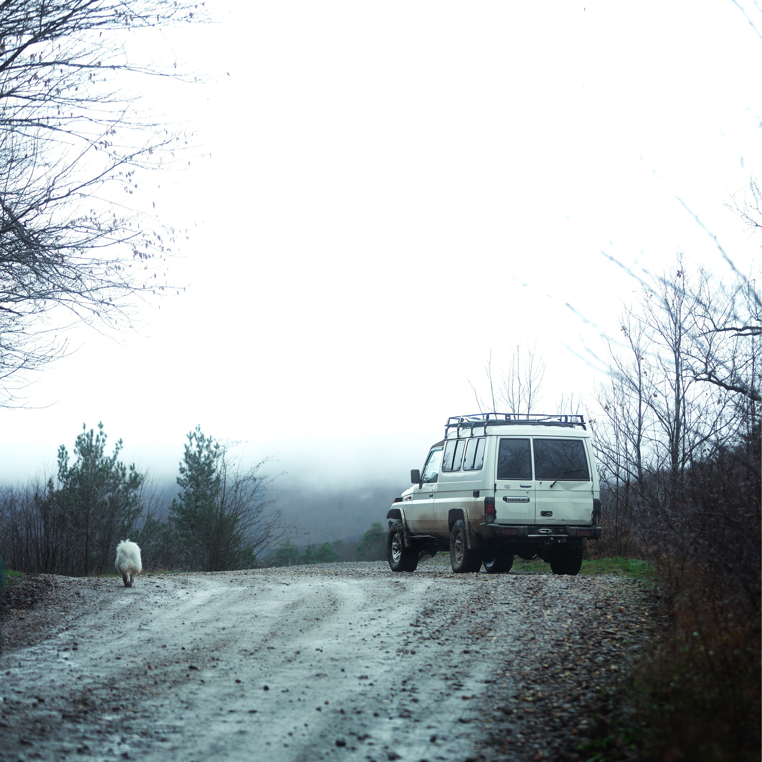 Ozzy. Медиа-контент с мероприятий