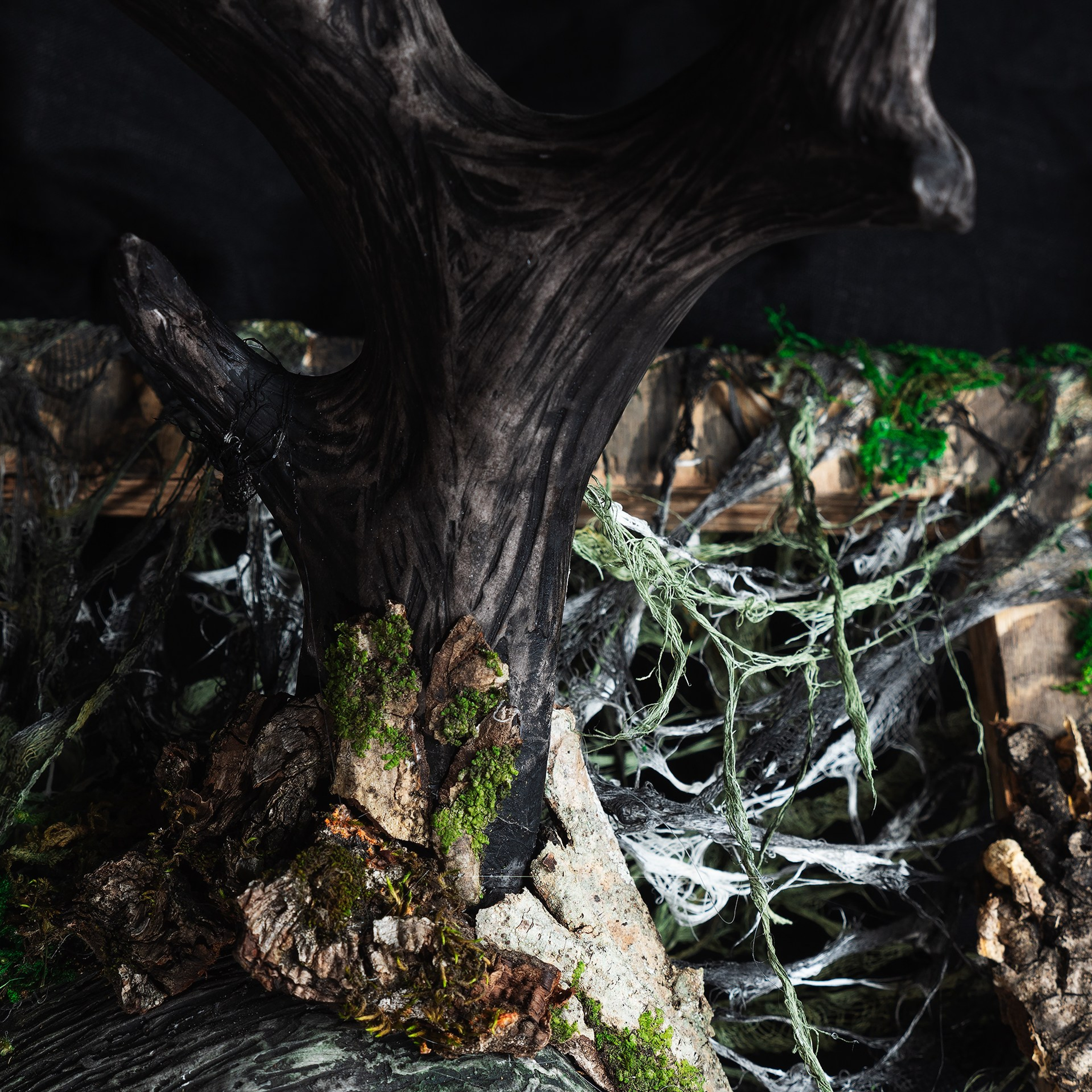 Картины. Медиа-контент с мероприятий