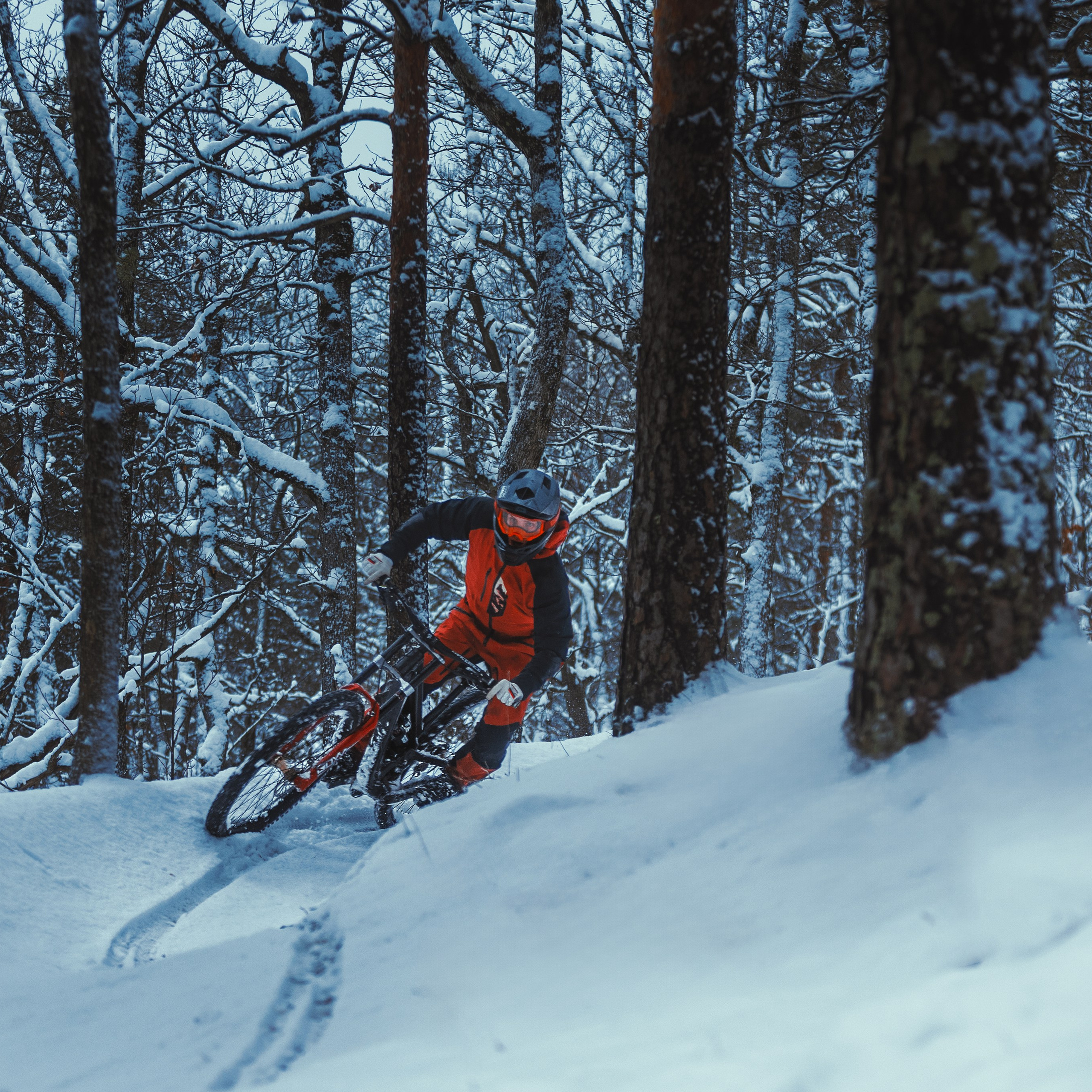 Евгений Бочанский. Медиа-контент с мероприятий