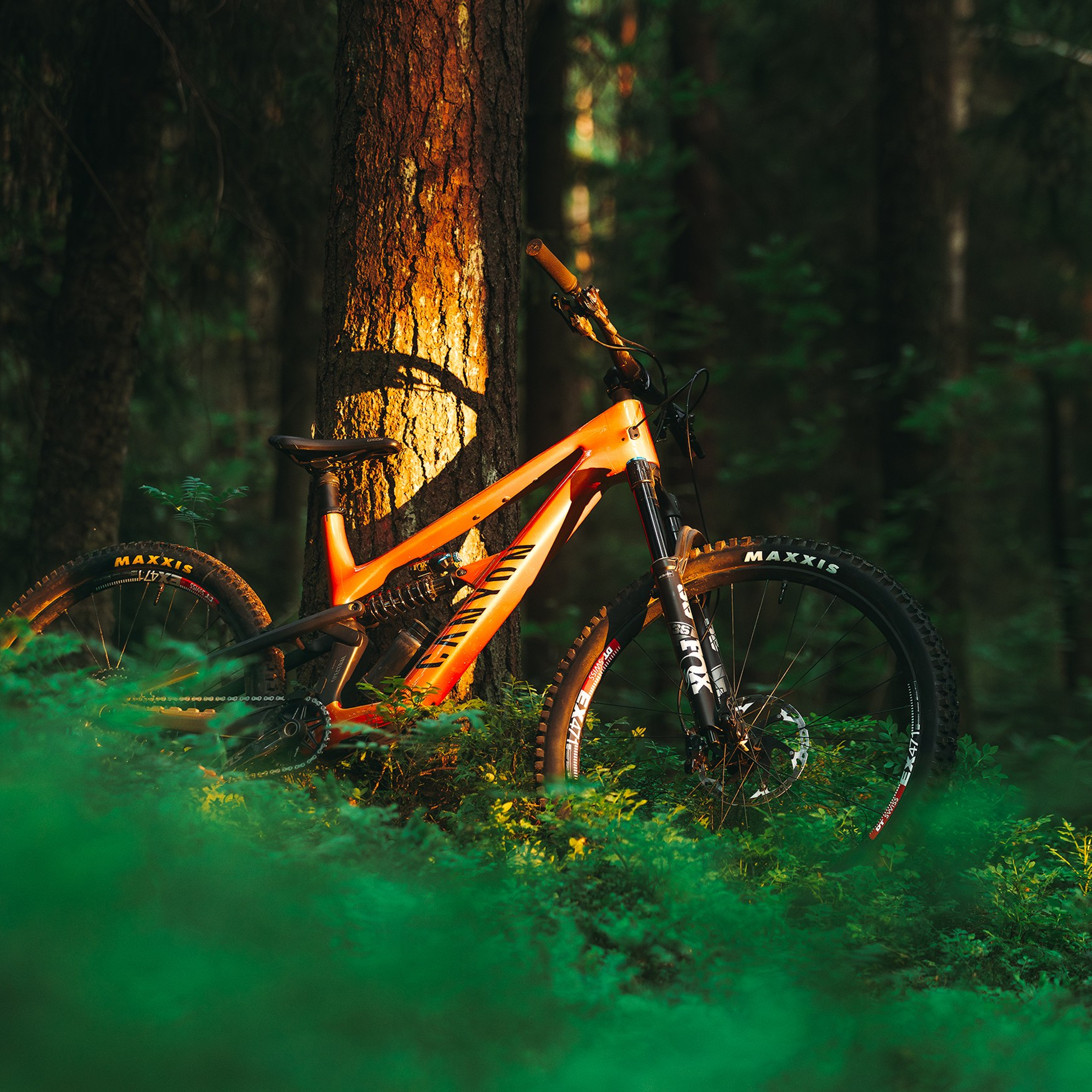 Покатушки в Огороде. Медиа-контент с мероприятий