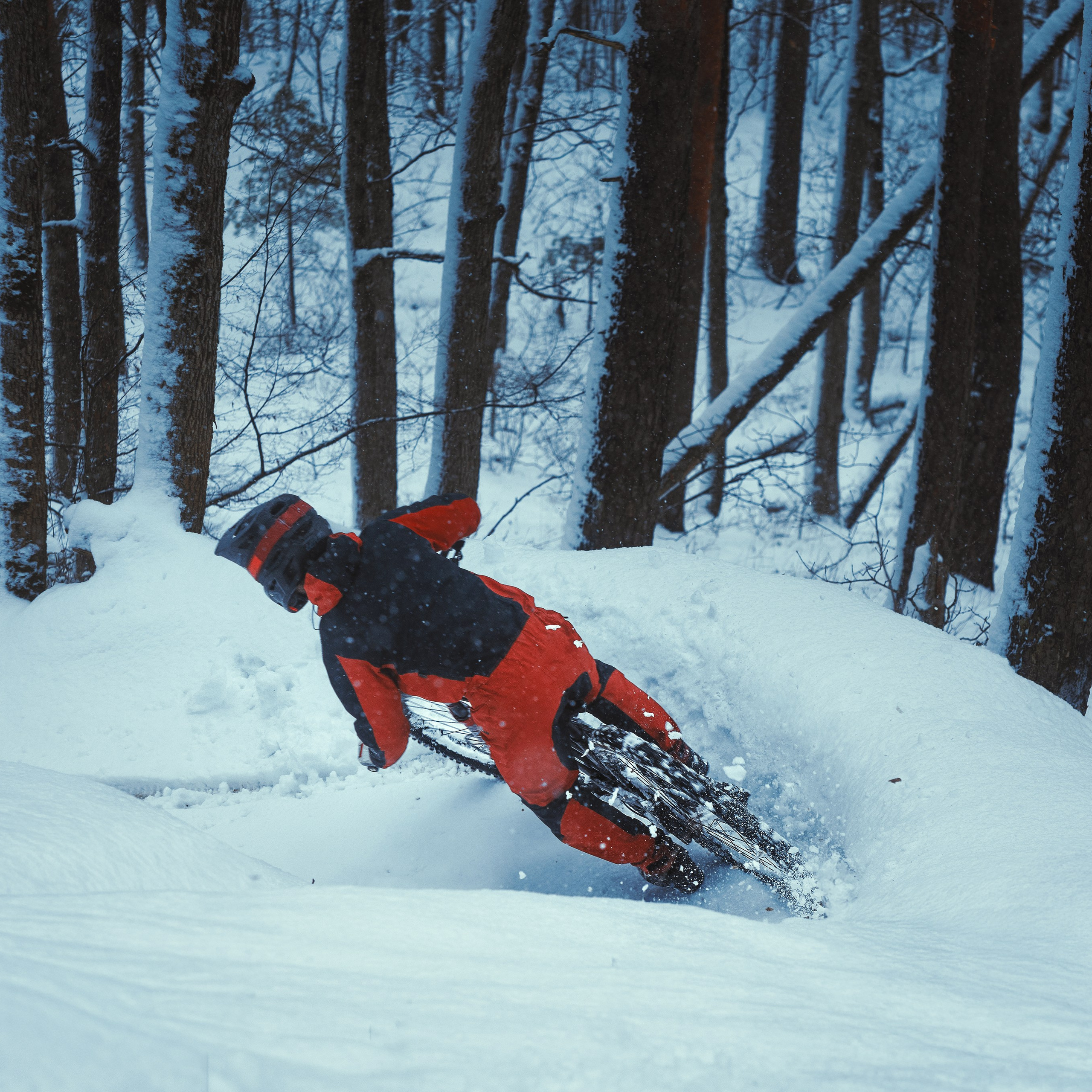 Евгений Бочанский. Медиа-контент с мероприятий