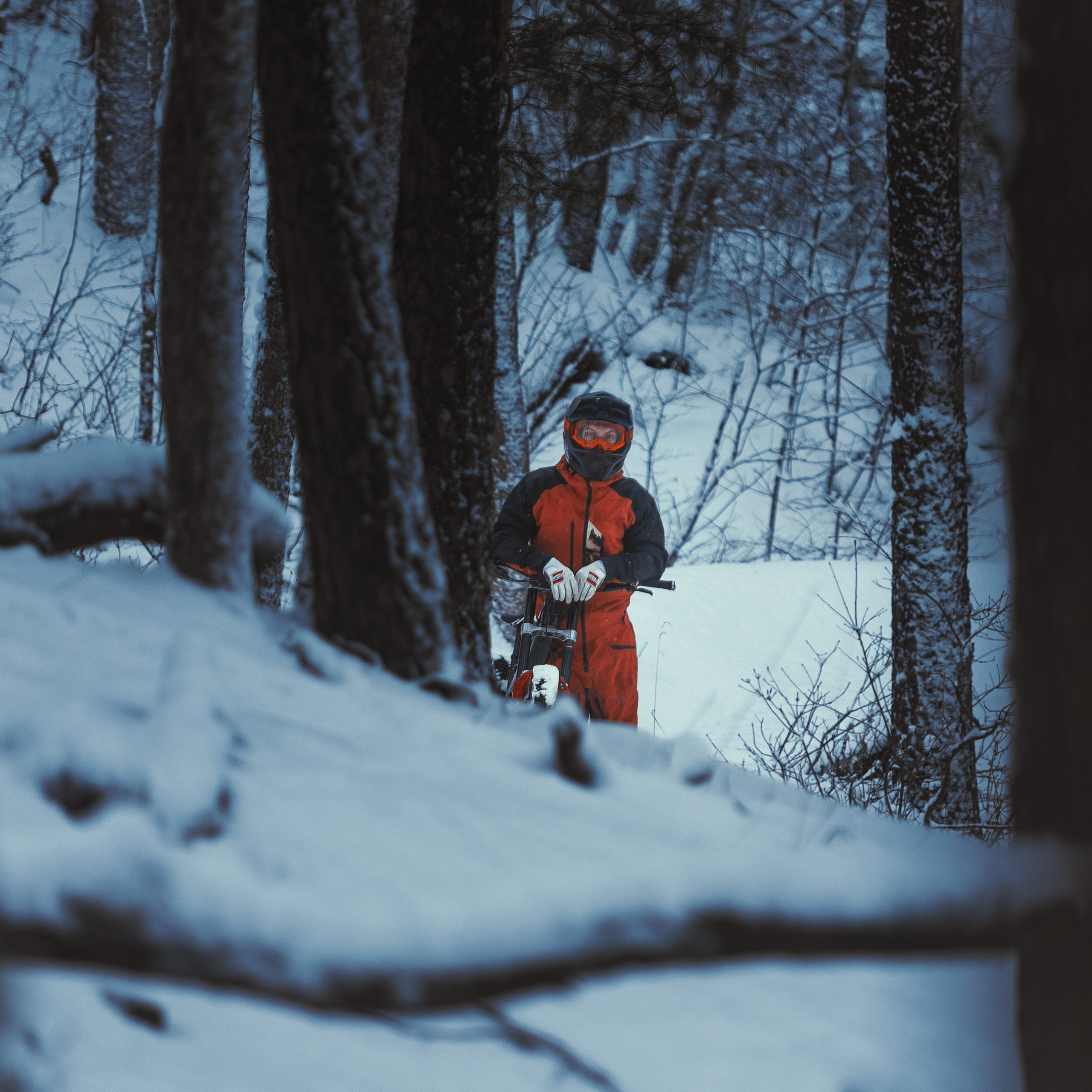 Евгений Бочанский. Медиа-контент с мероприятий