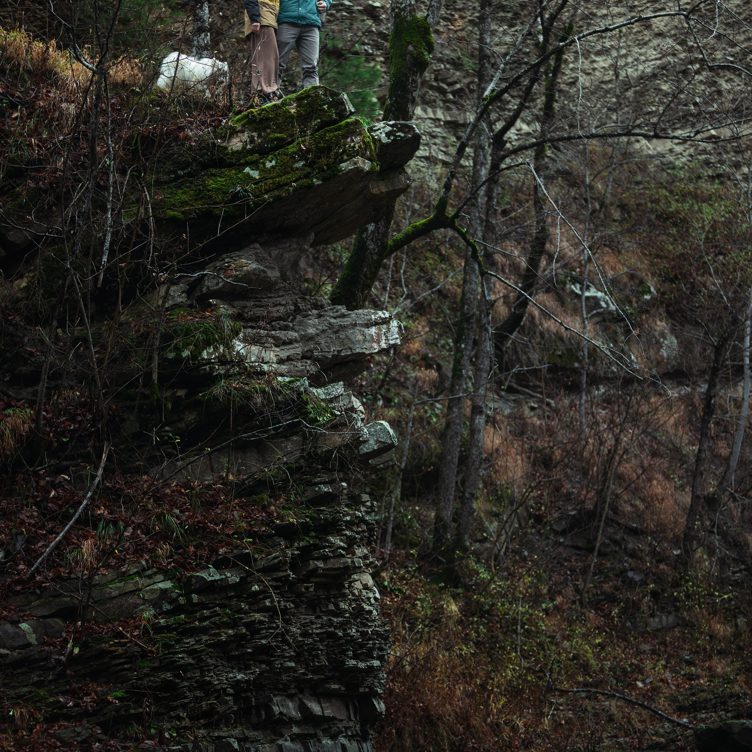 Ozzy. Медиа-контент с мероприятий