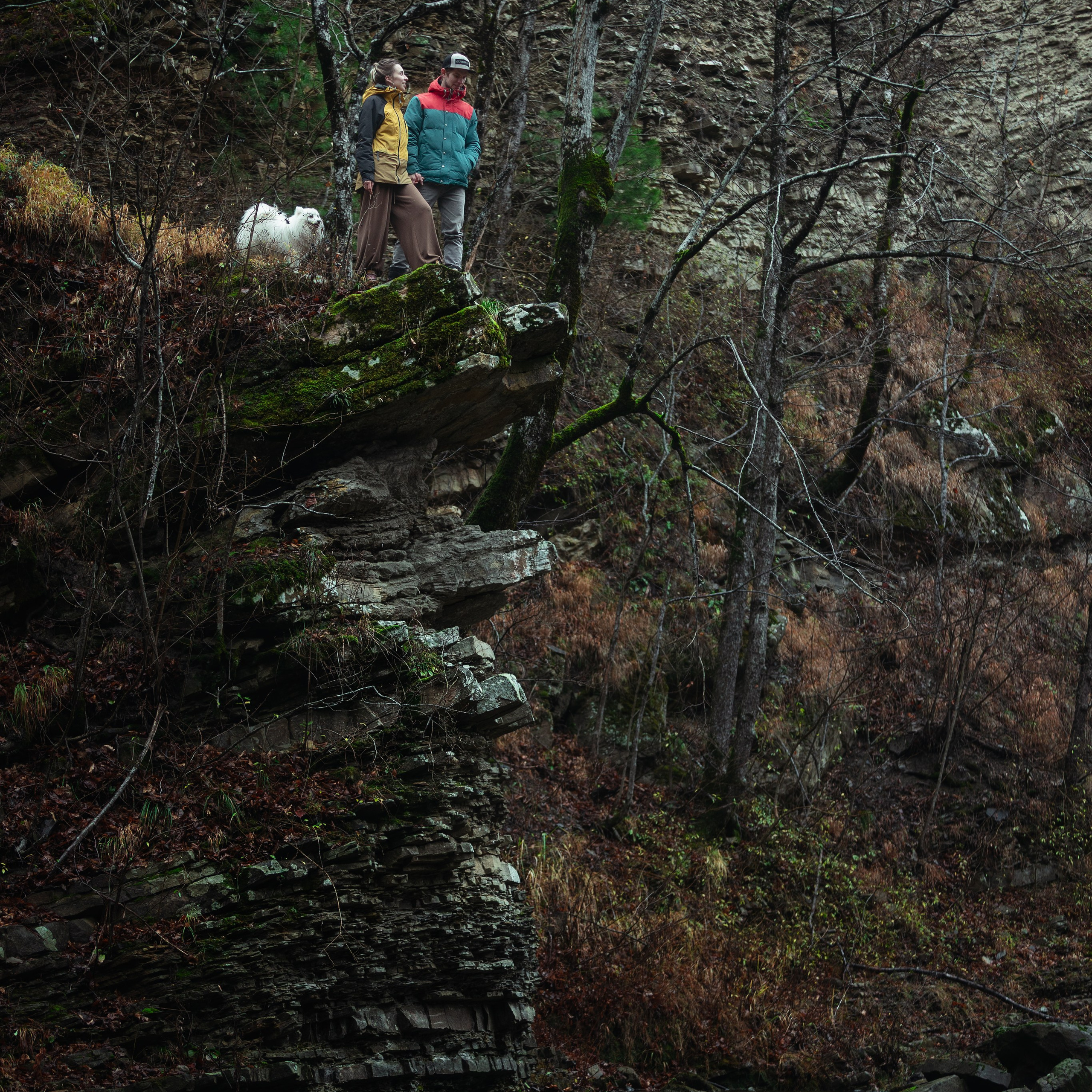 Ozzy. Медиа-контент с мероприятий
