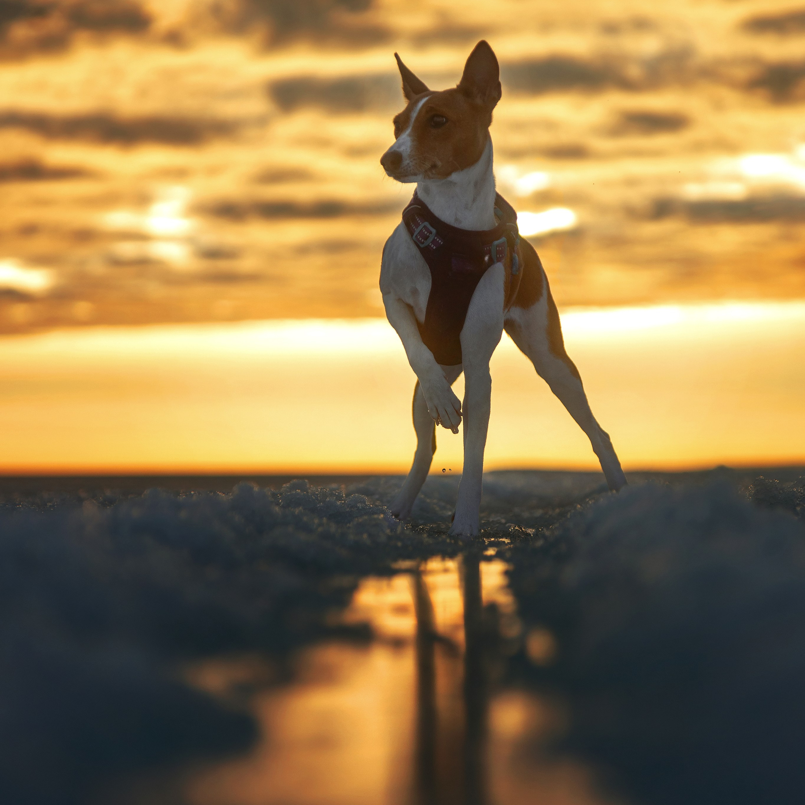 Закатный залив. Медиа-контент с мероприятий