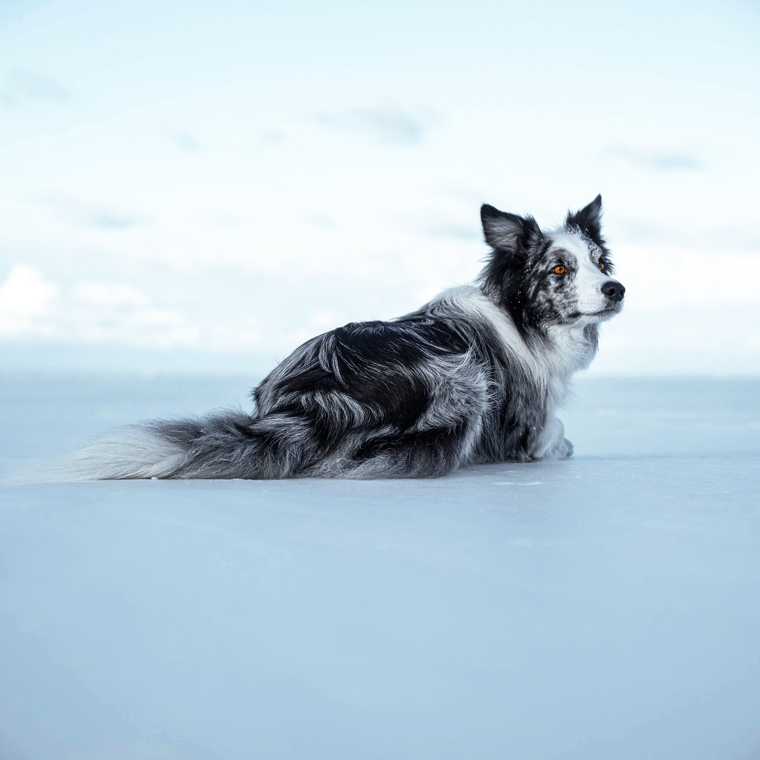 Зима на финском. Медиа-контент с мероприятий