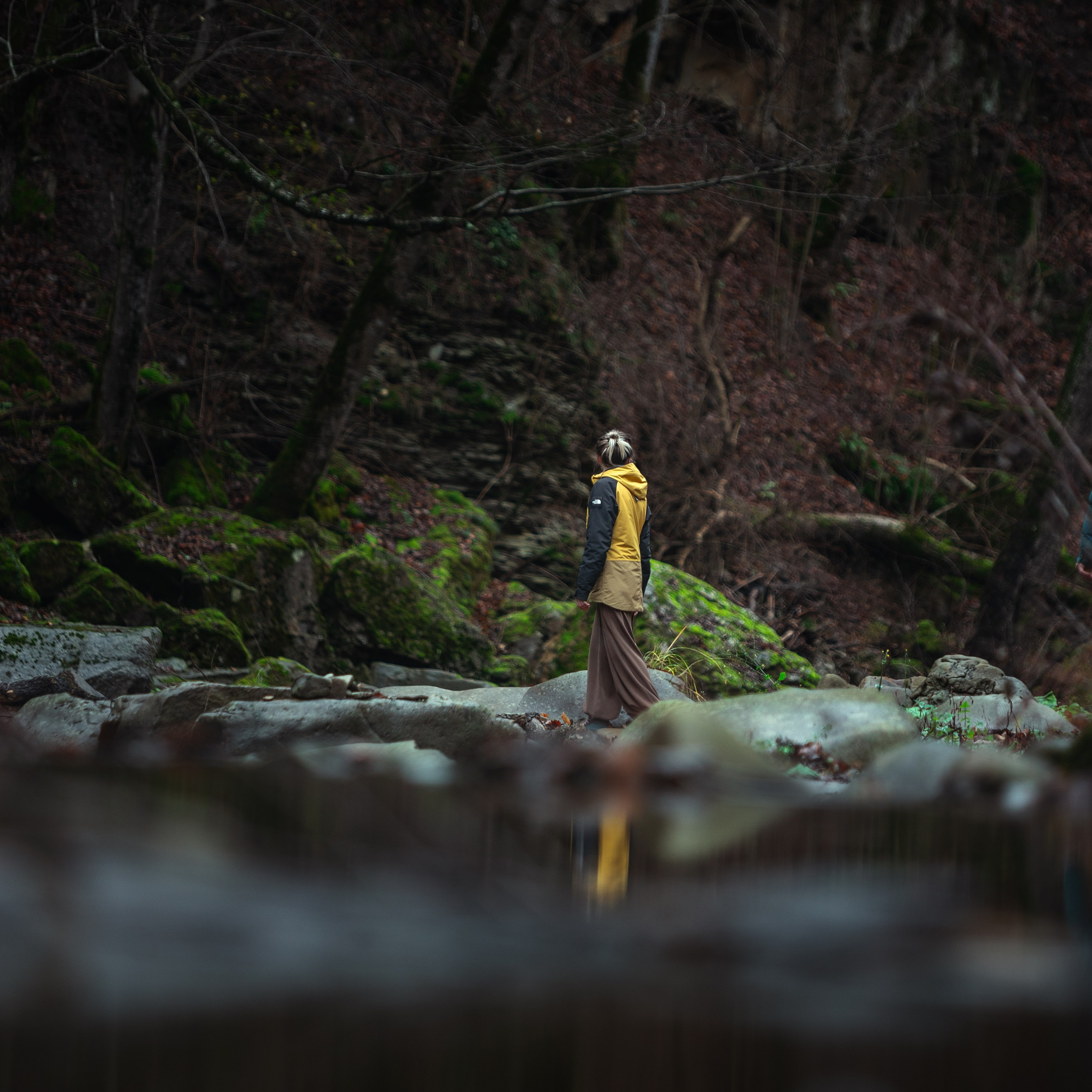 Ozzy. Медиа-контент с мероприятий