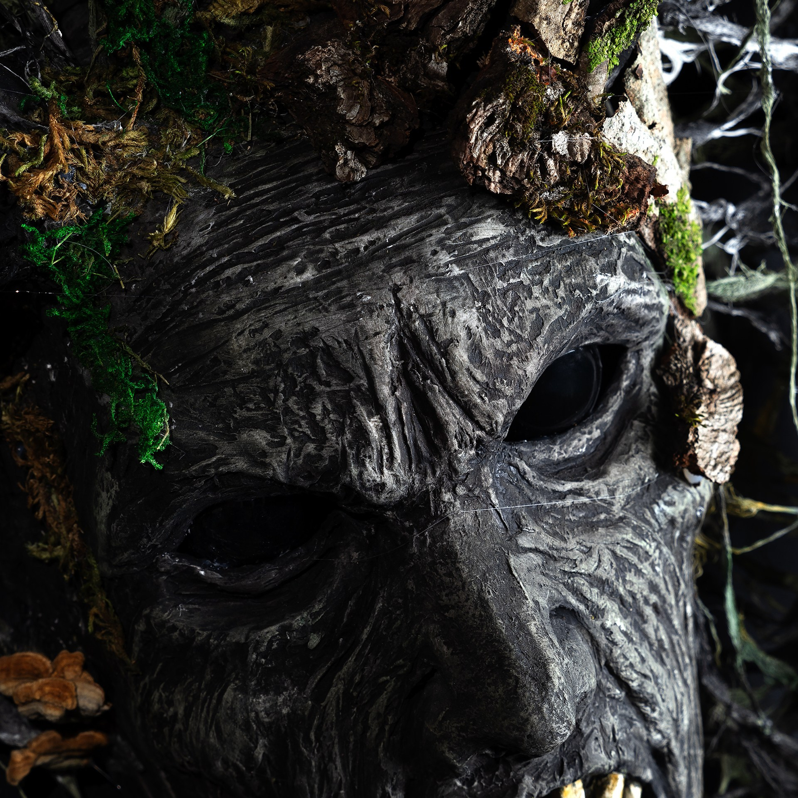 Картины. Медиа-контент с мероприятий