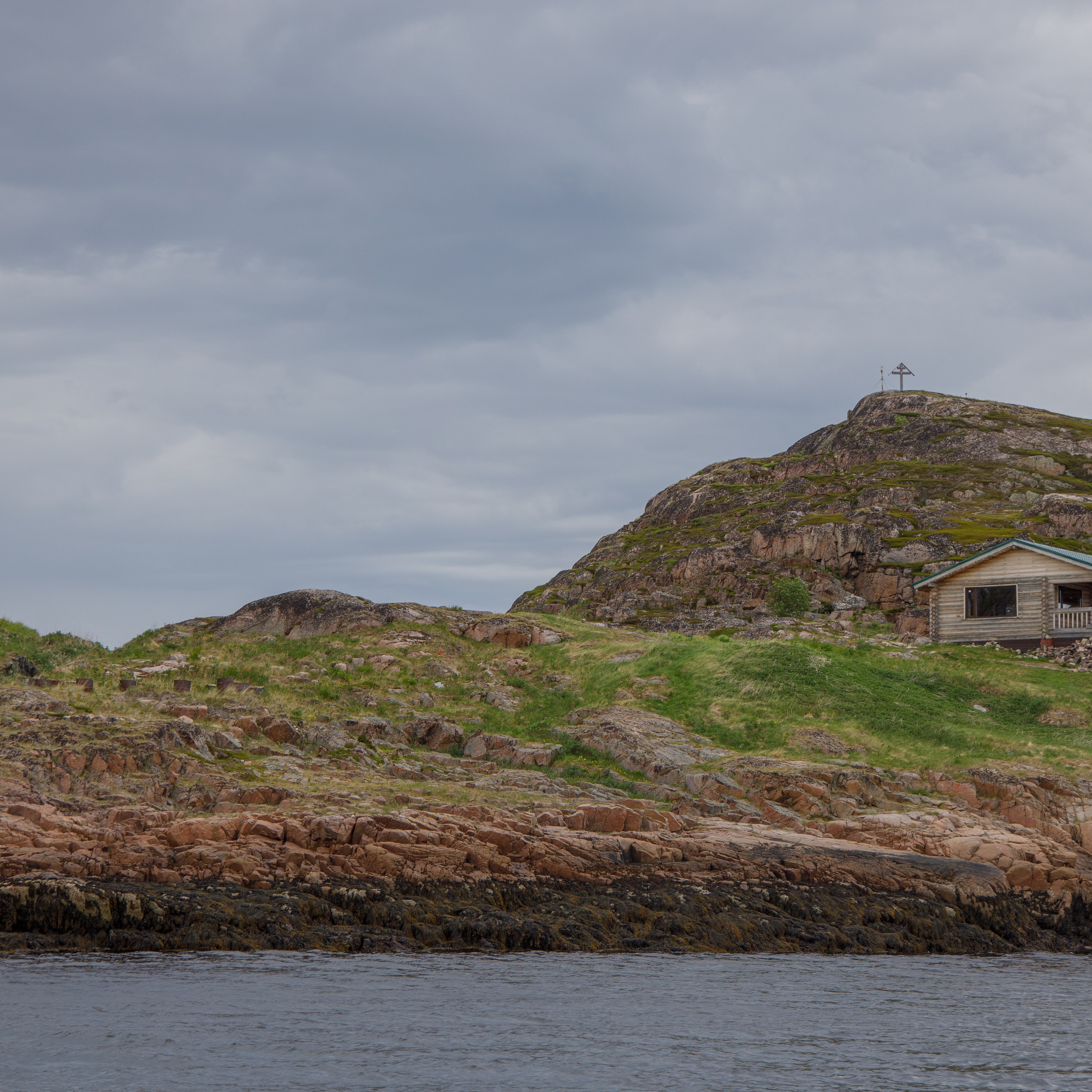 Териберка медведи