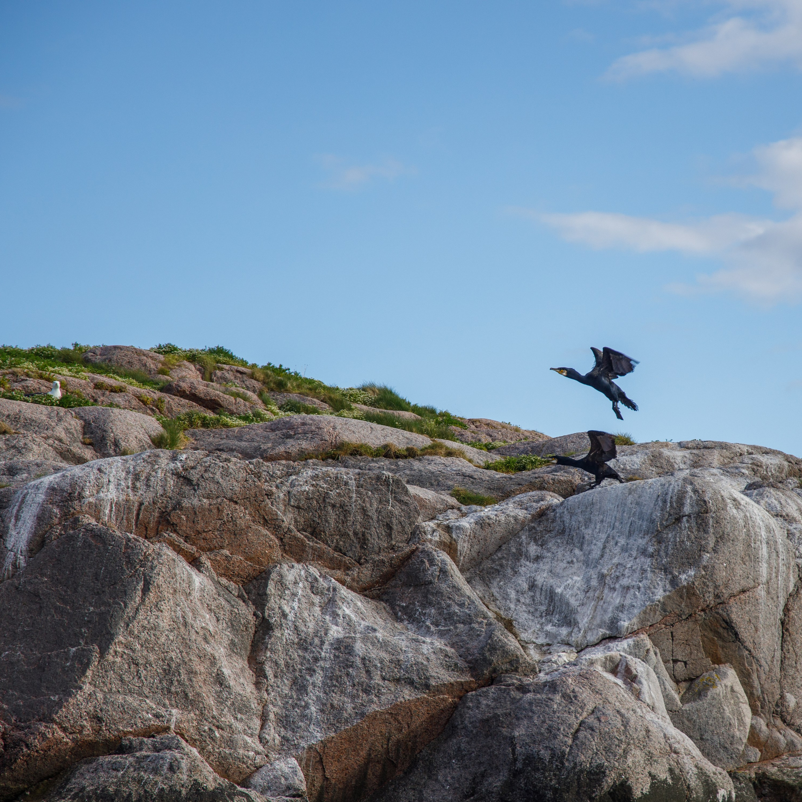 Край света Териберка