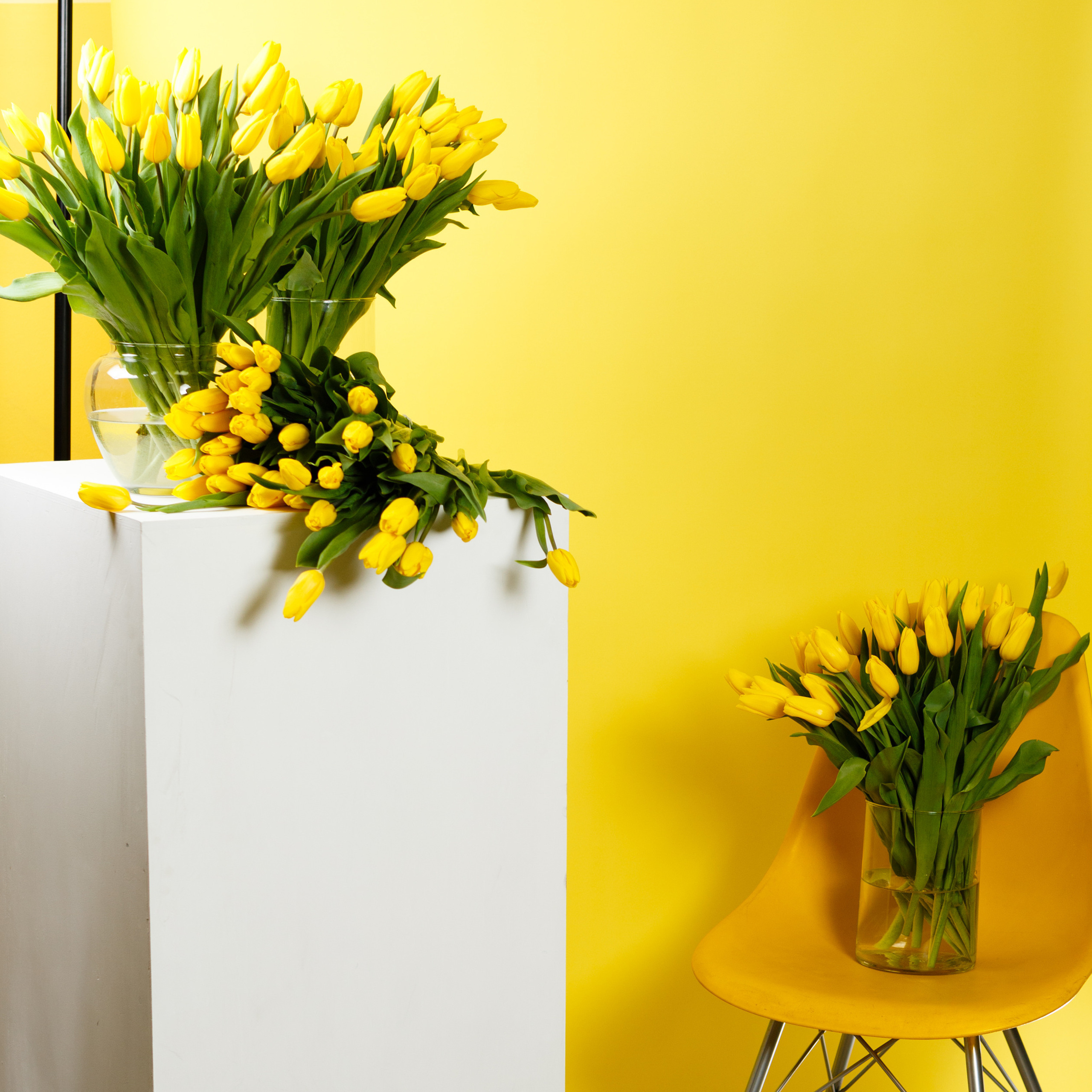 Выпускные альбомы. Выпускные альбомы Красноярск