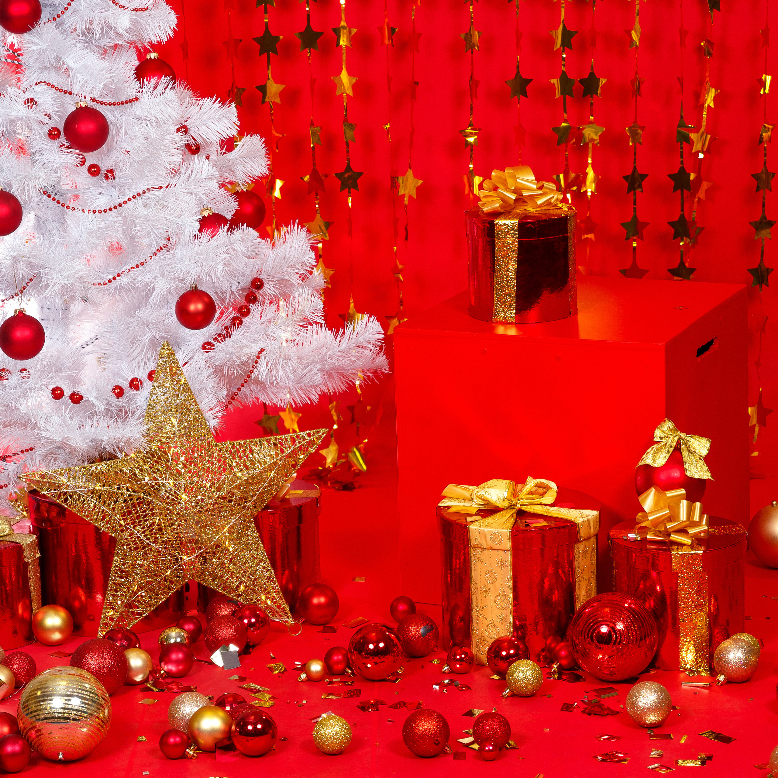 Выпускные альбомы. Выпускные альбомы Красноярск