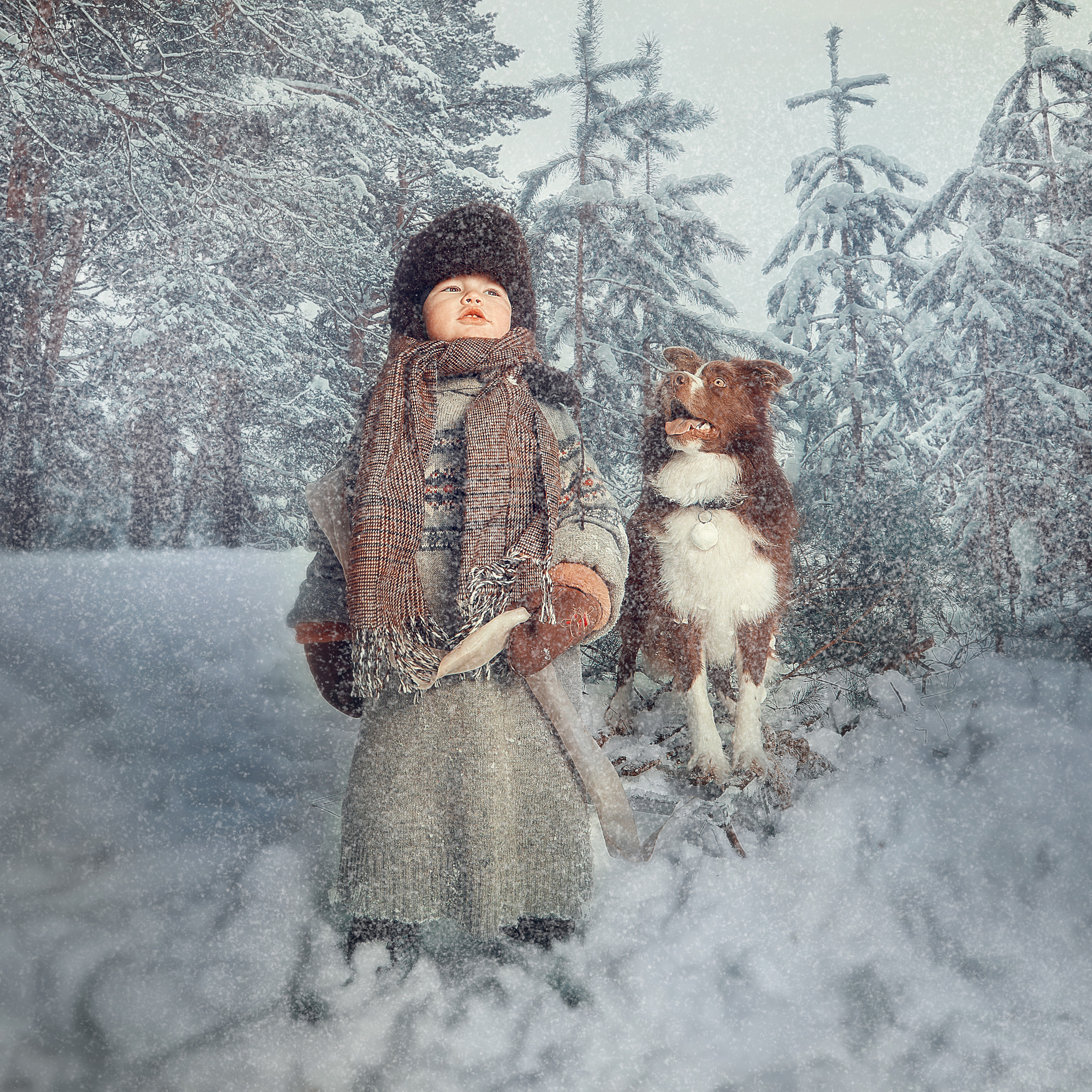 Мальчик, собака и елка