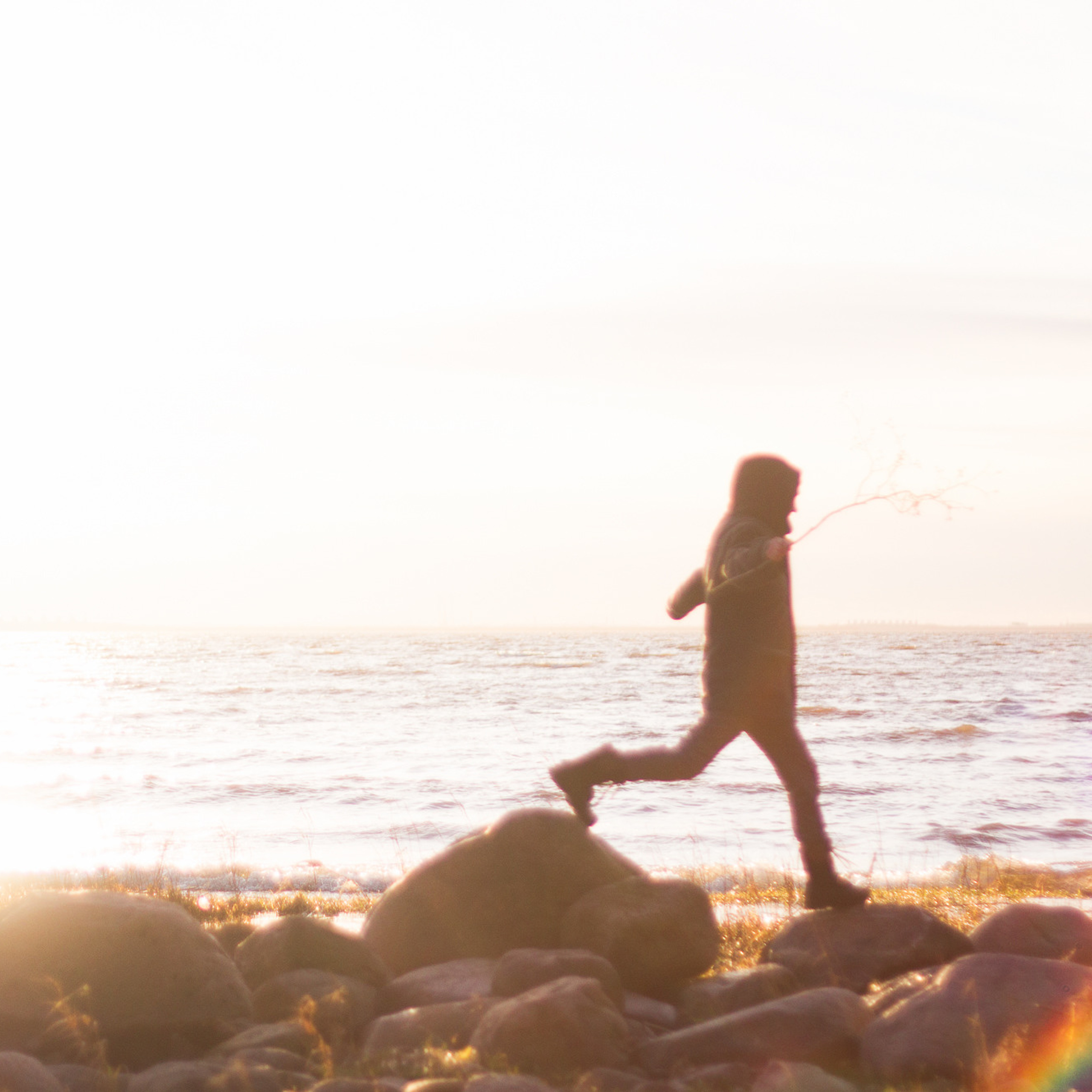 Тарховка Море Осень