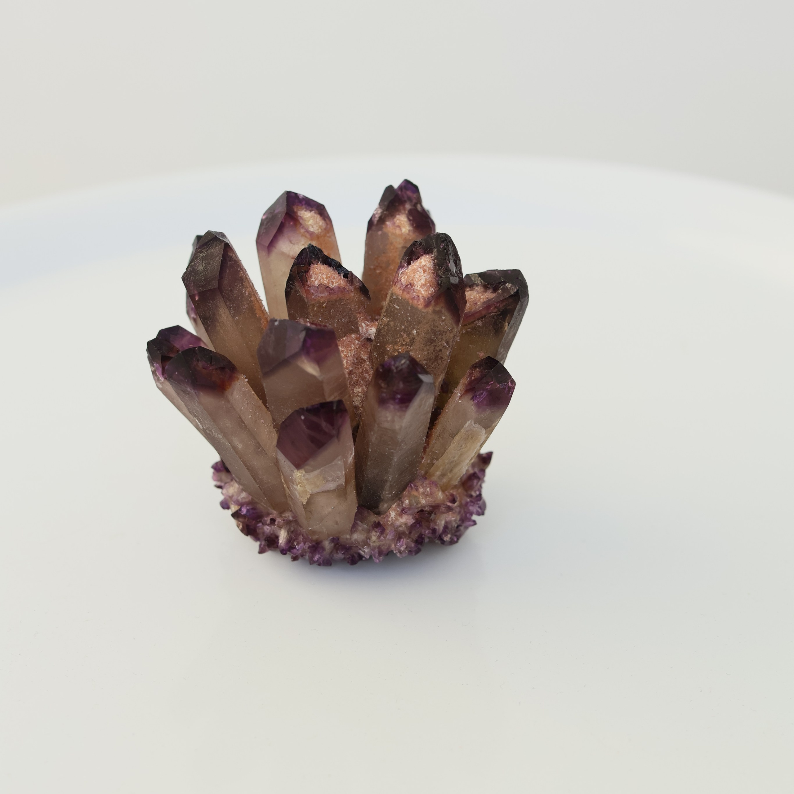 Отзывы от клиентов. Food-фотограф, предметный, семейный, фотограф в Москве, Асеева Яна