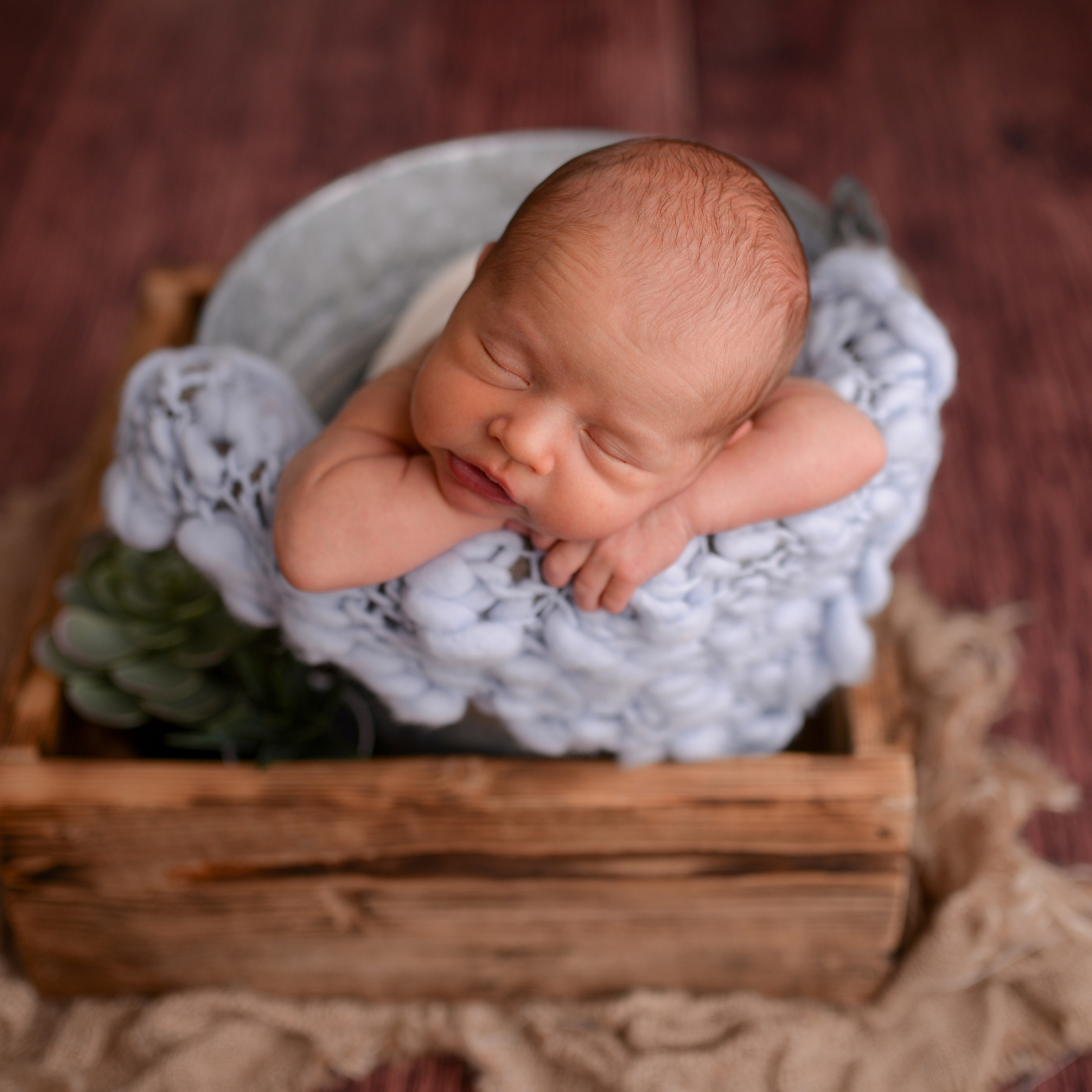 Условия и цены. Семейный фотограф в Москве Лилия Лебедева