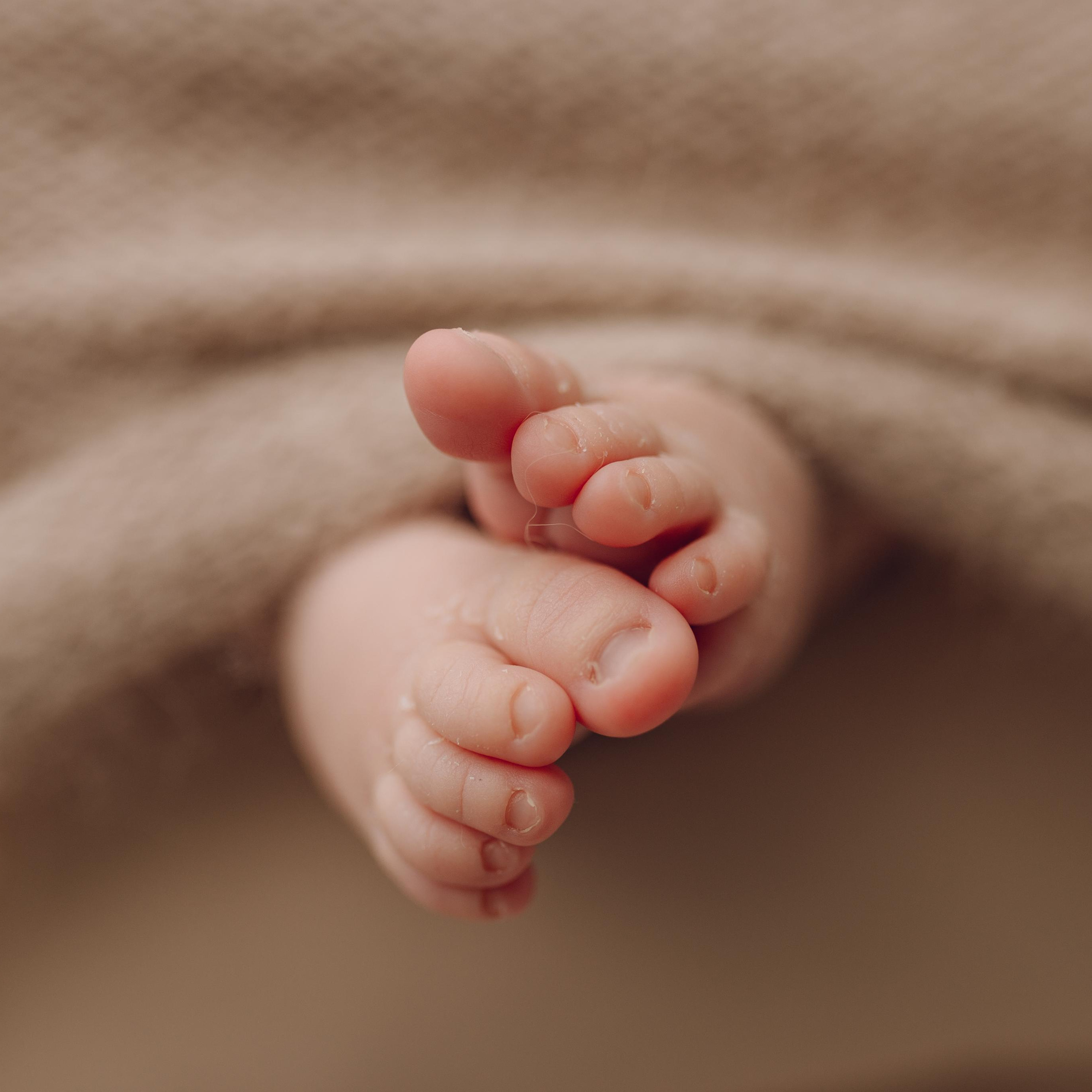 Условия и цены. Семейный фотограф в Москве Лилия Лебедева